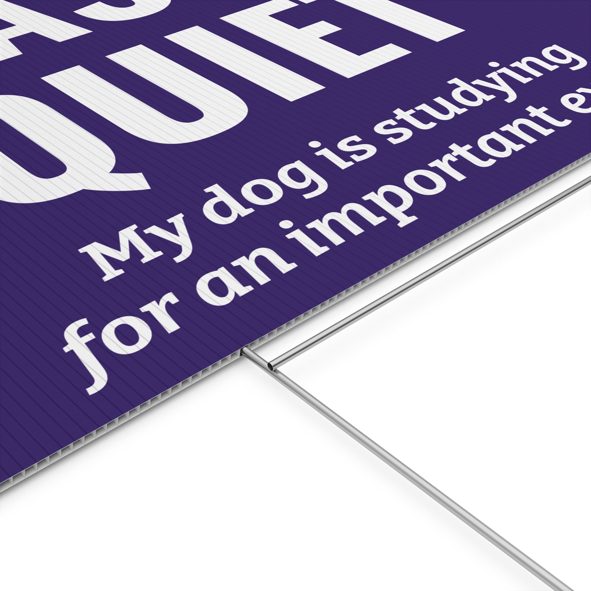 Copy of Copy of Copy of Copy of Copy of Beware of Anxious Chihuahua Yard Sign - Funny Dog Warning Plastic Lawn Sign