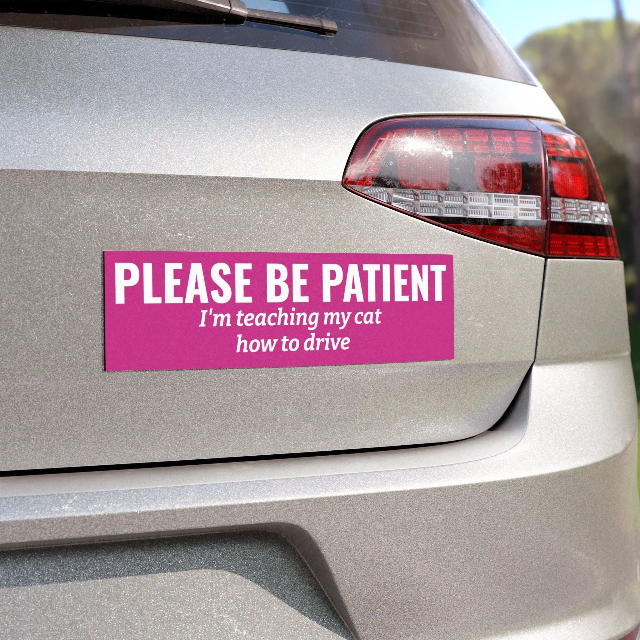 Copy of Please Be Patient, I'm Teaching My Dog How to Drive Bumper Magnet (PINK)