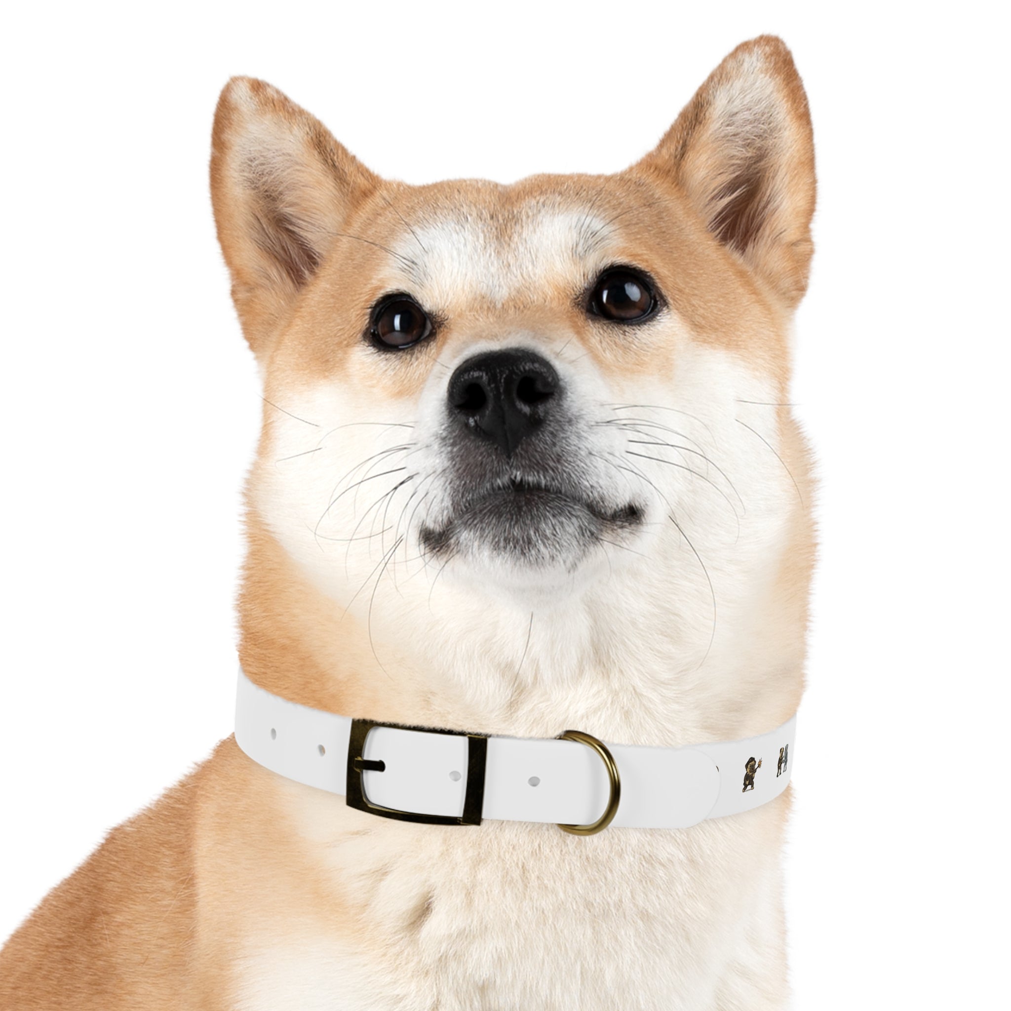 Movie Pugs Dog Collar – Funny Film-Inspired Pet Accessory for Pug Lovers
