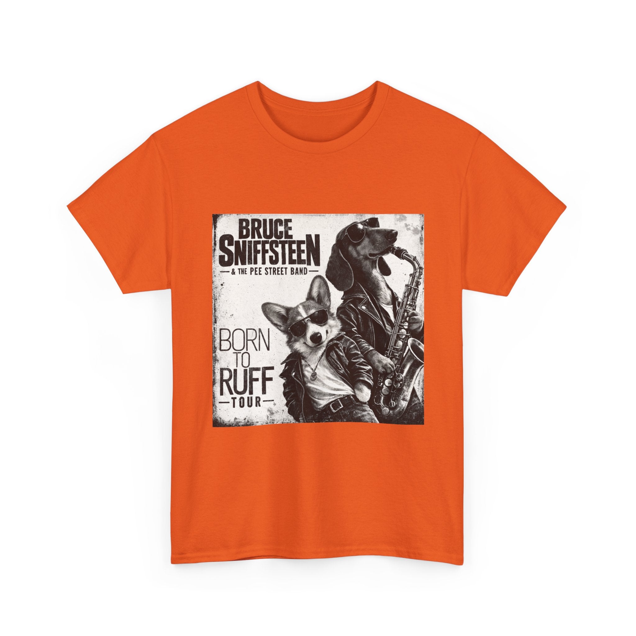 Bruce Sniffsteen & the Pee Street Band Shirt -- Funny Bruce Springsteen 2026 Tour Shirt Parody