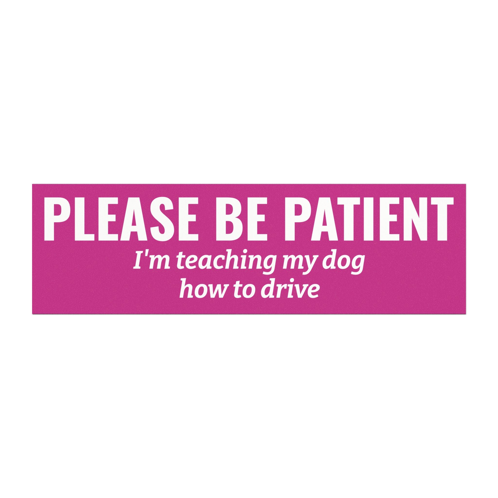 Please Be Patient, I'm Teaching My Dog How to Drive Bumper Magnet (PINK)