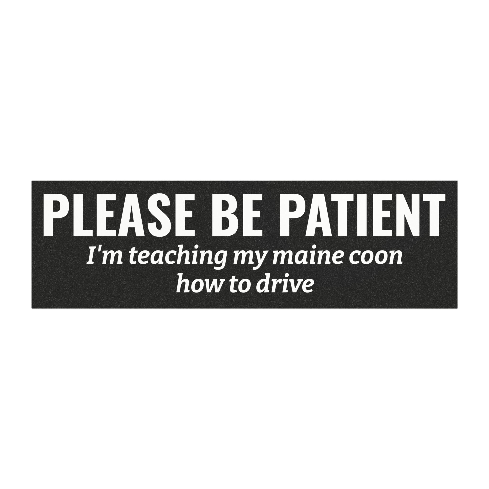 Please Be Patient, I'm Teaching My Cat How to Drive Bumper Magnet (BLACK)