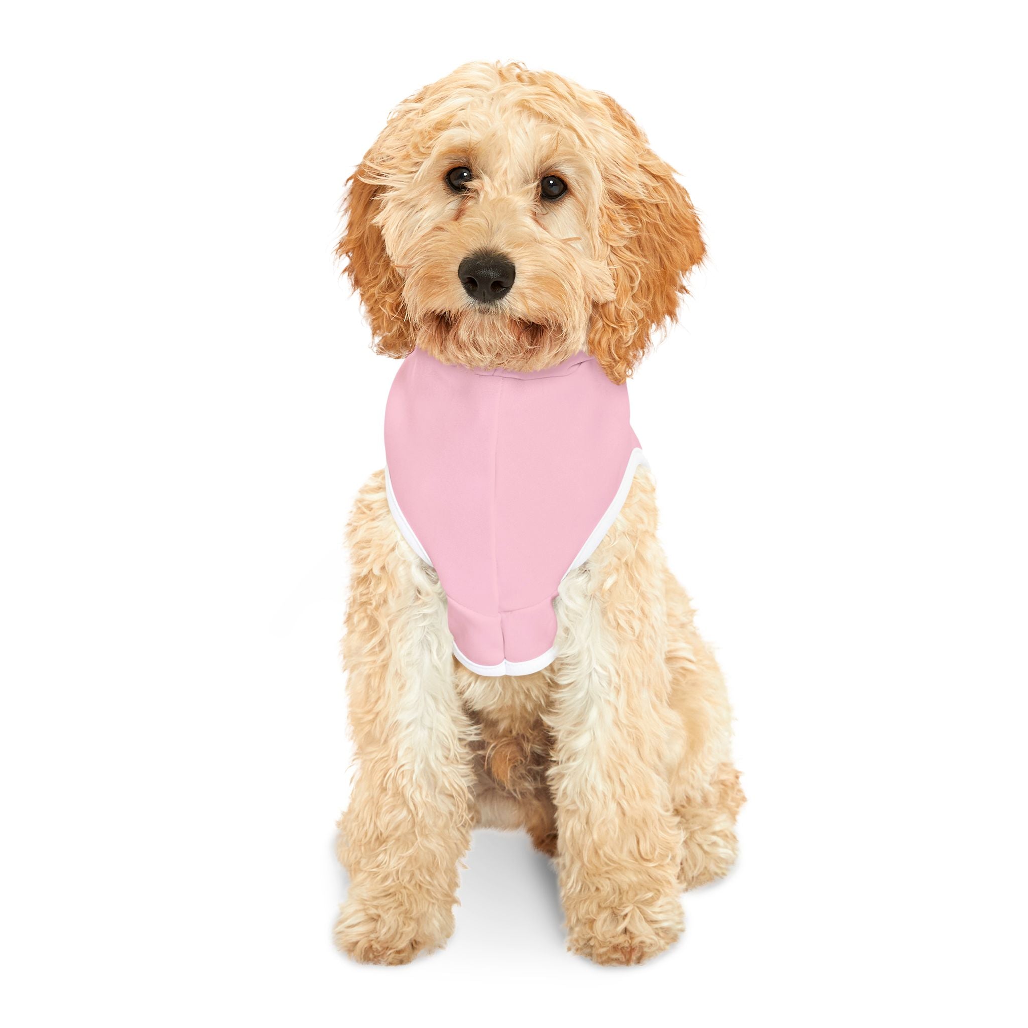 Nepo Baby Dog Hoodie – Funny Pet Sweatshirt for Spoiled Celebrity Dogs