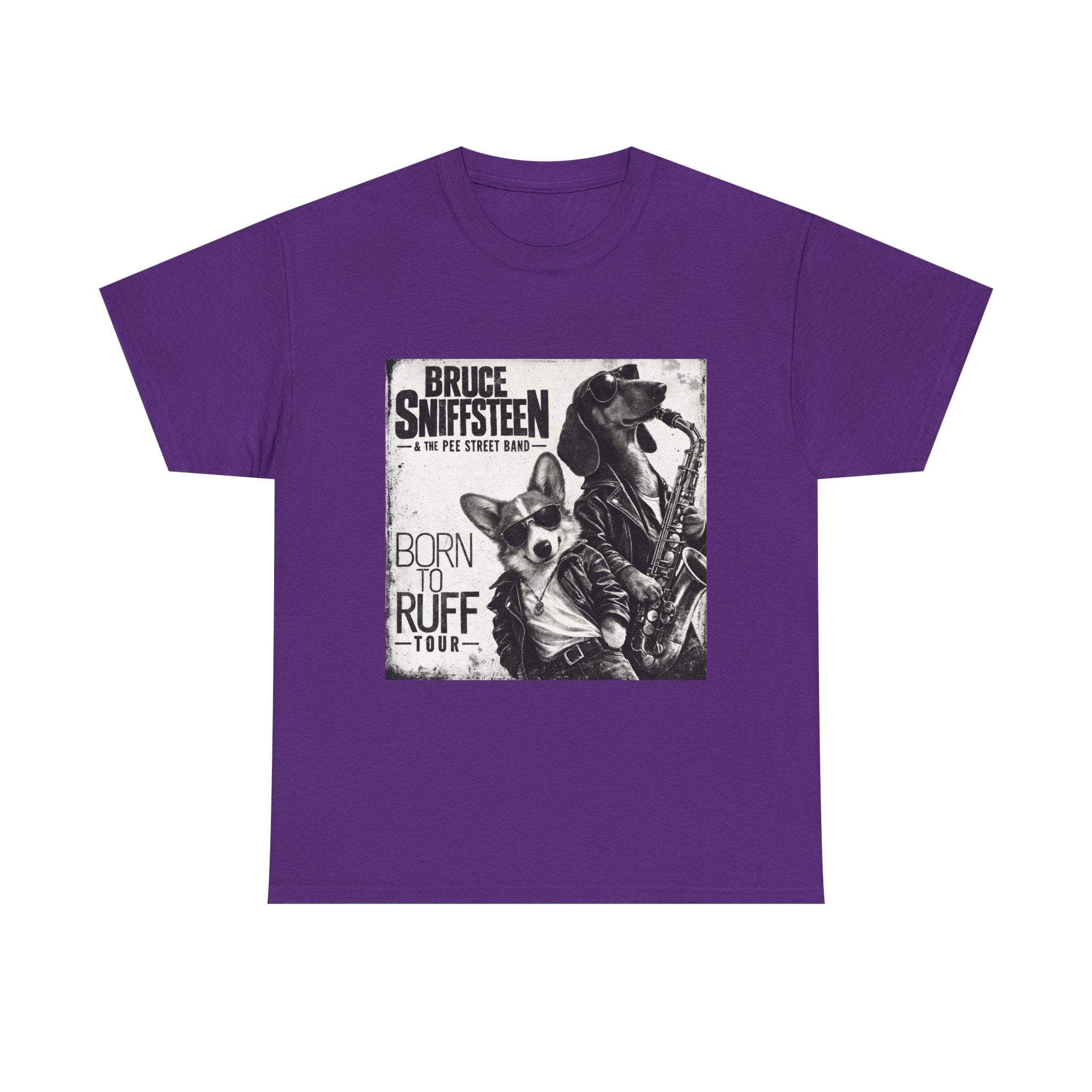 Bruce Sniffsteen & the Pee Street Band Shirt -- Funny Bruce Springsteen 2026 Tour Shirt Parody