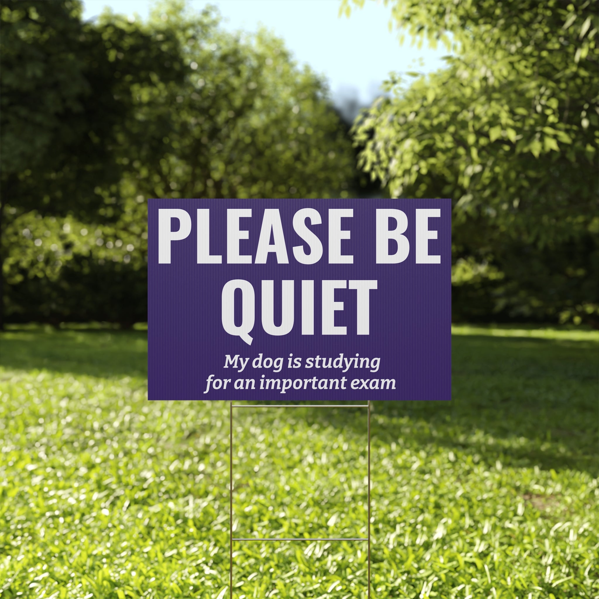 Copy of Copy of Copy of Copy of Copy of Beware of Anxious Chihuahua Yard Sign - Funny Dog Warning Plastic Lawn Sign