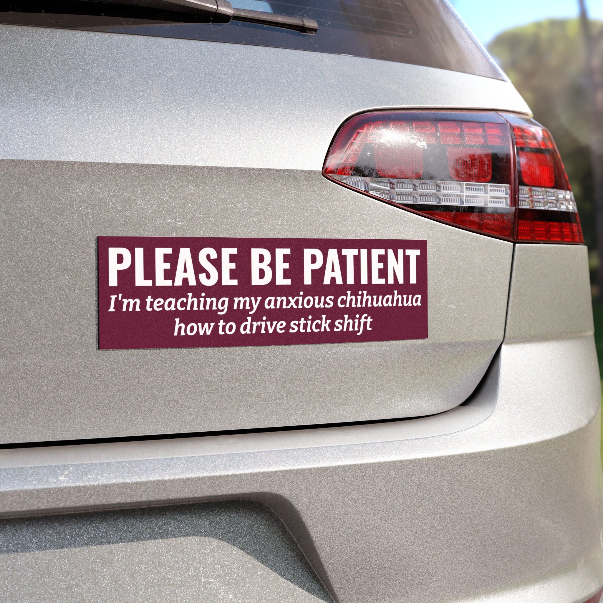 Copy of lease Be Patient, I'm Teaching My Cat How to Drive Bumper Magnet (PINK)