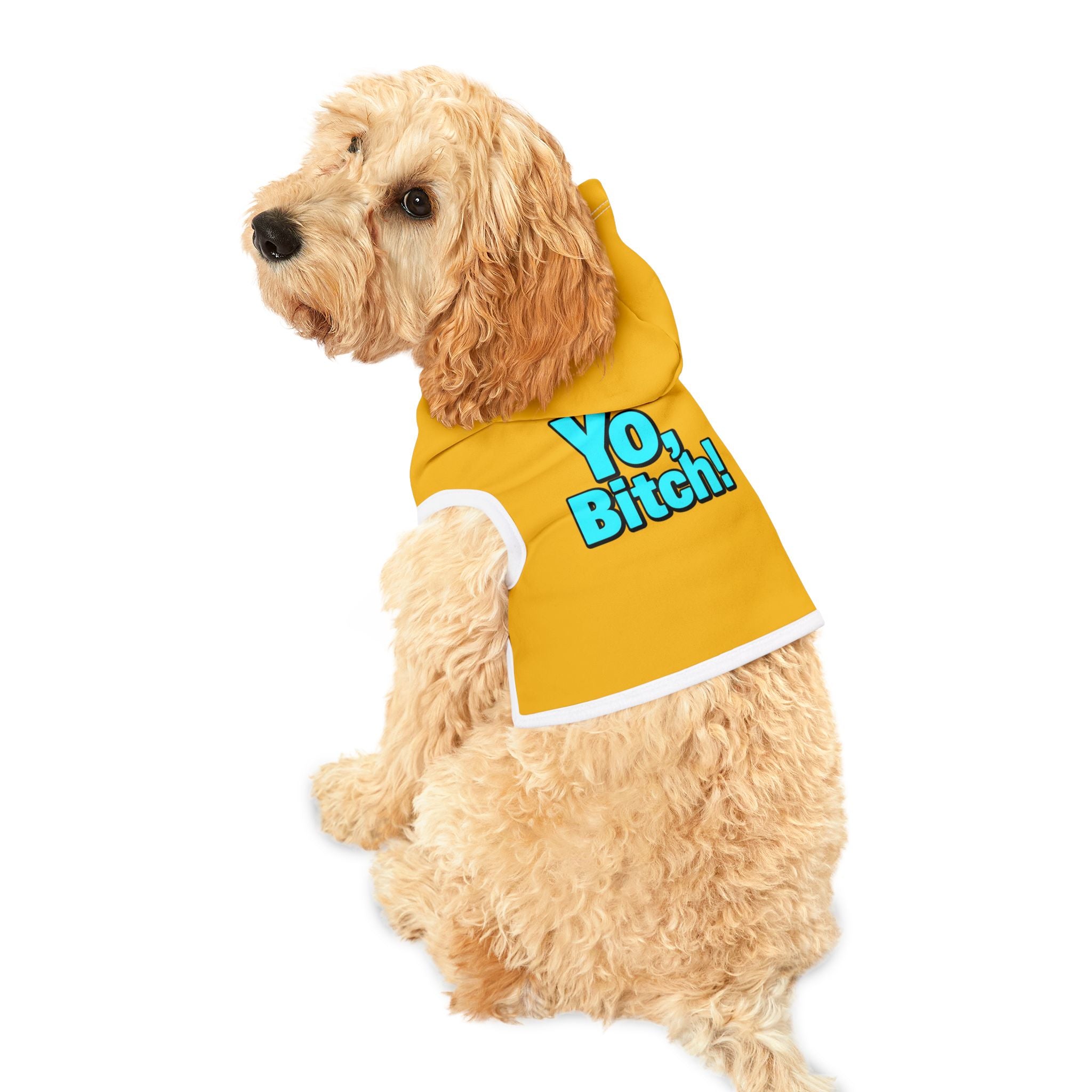 Jesse Pinkman Parody Dog Hoodie – Funny Dog Halloween Costume for Breaking Bad fans