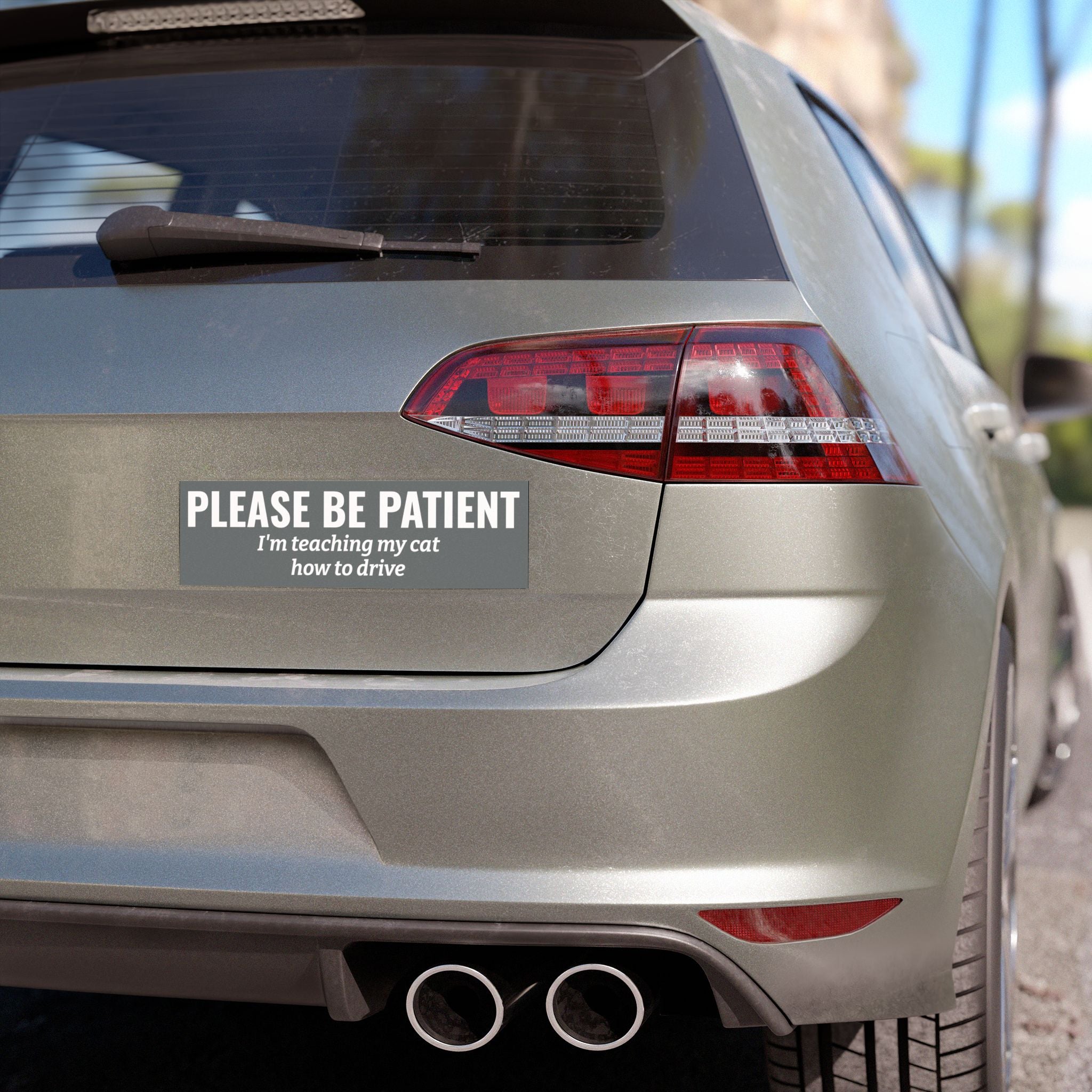 Please Be Patient, I'm Teaching My Cat How to Drive Bumper Magnet (GREY)