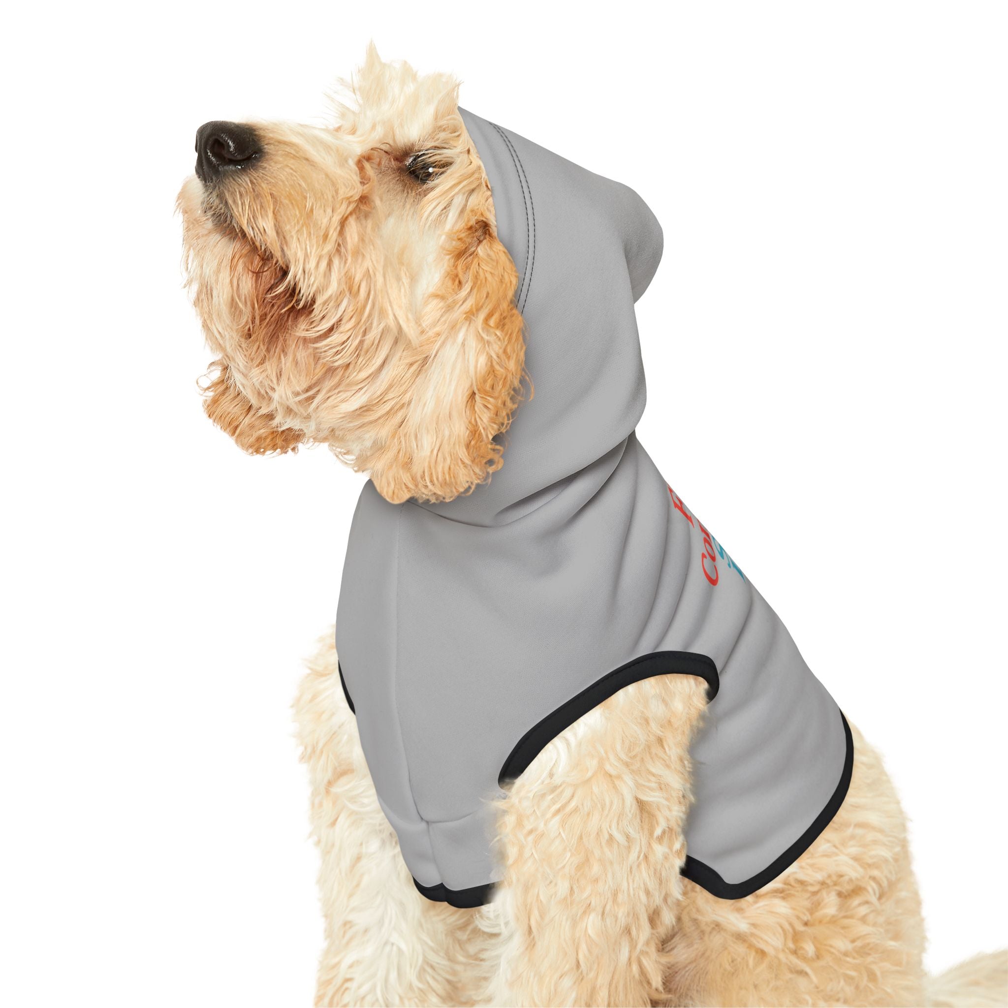 Fiscally Conservative, Socially Liberal Dog Hoodie – Funny Political Pet Sweatshirt for Opinionated Pups