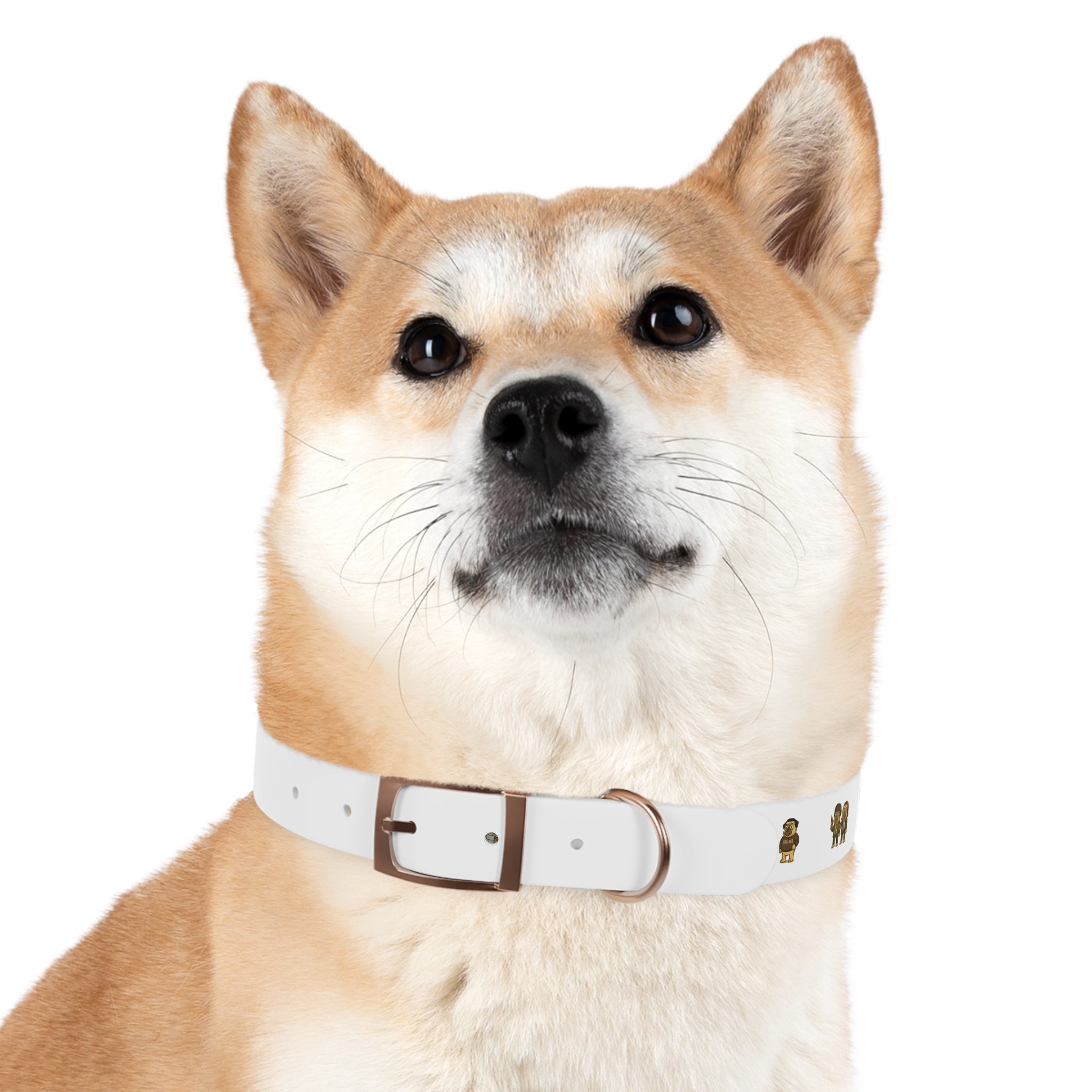 Movie Pugs Dog Collar – Funny Film-Inspired Pet Accessory for Pug Lovers