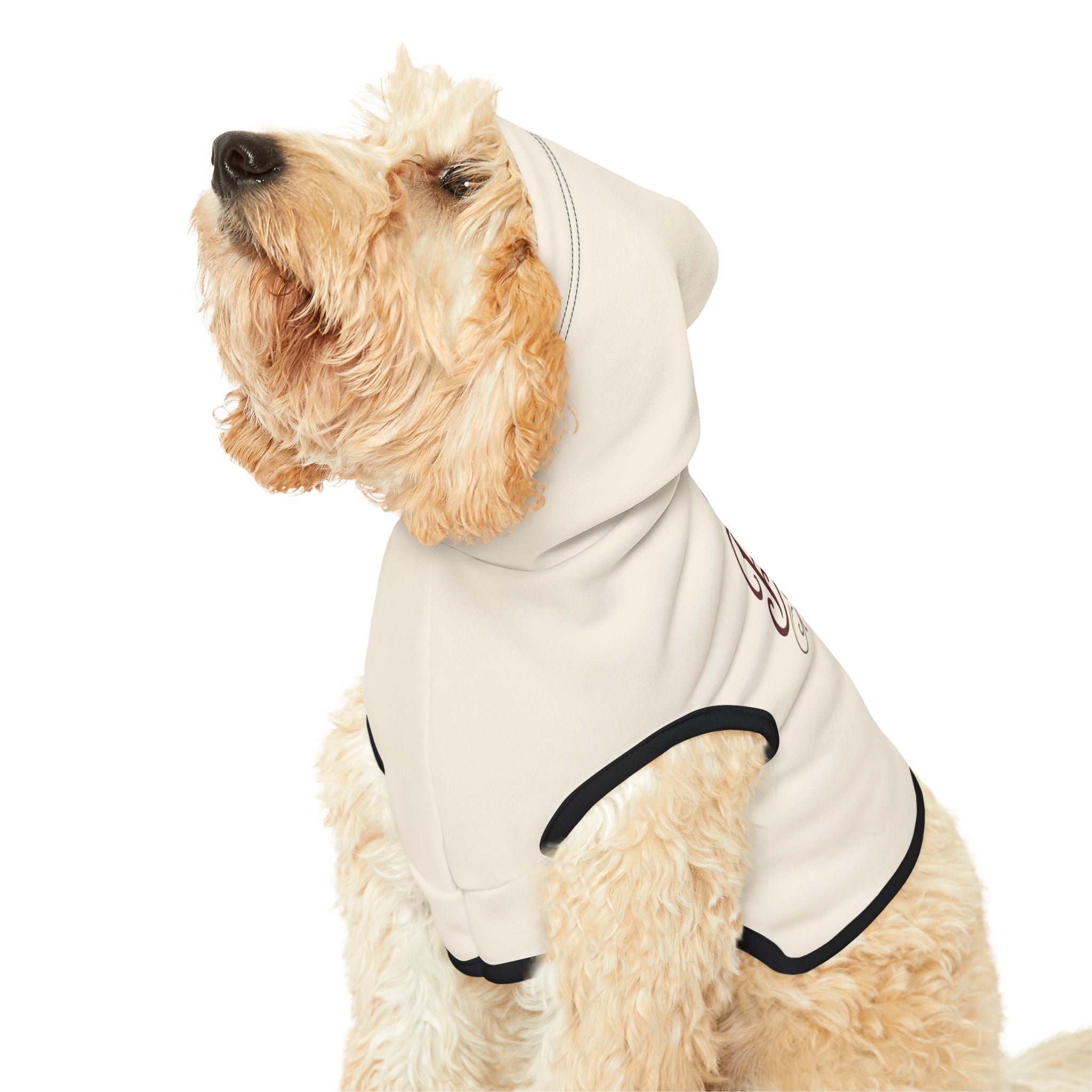 The Blurst of Times Dog Hoodie – Funny Pet Sweatshirt