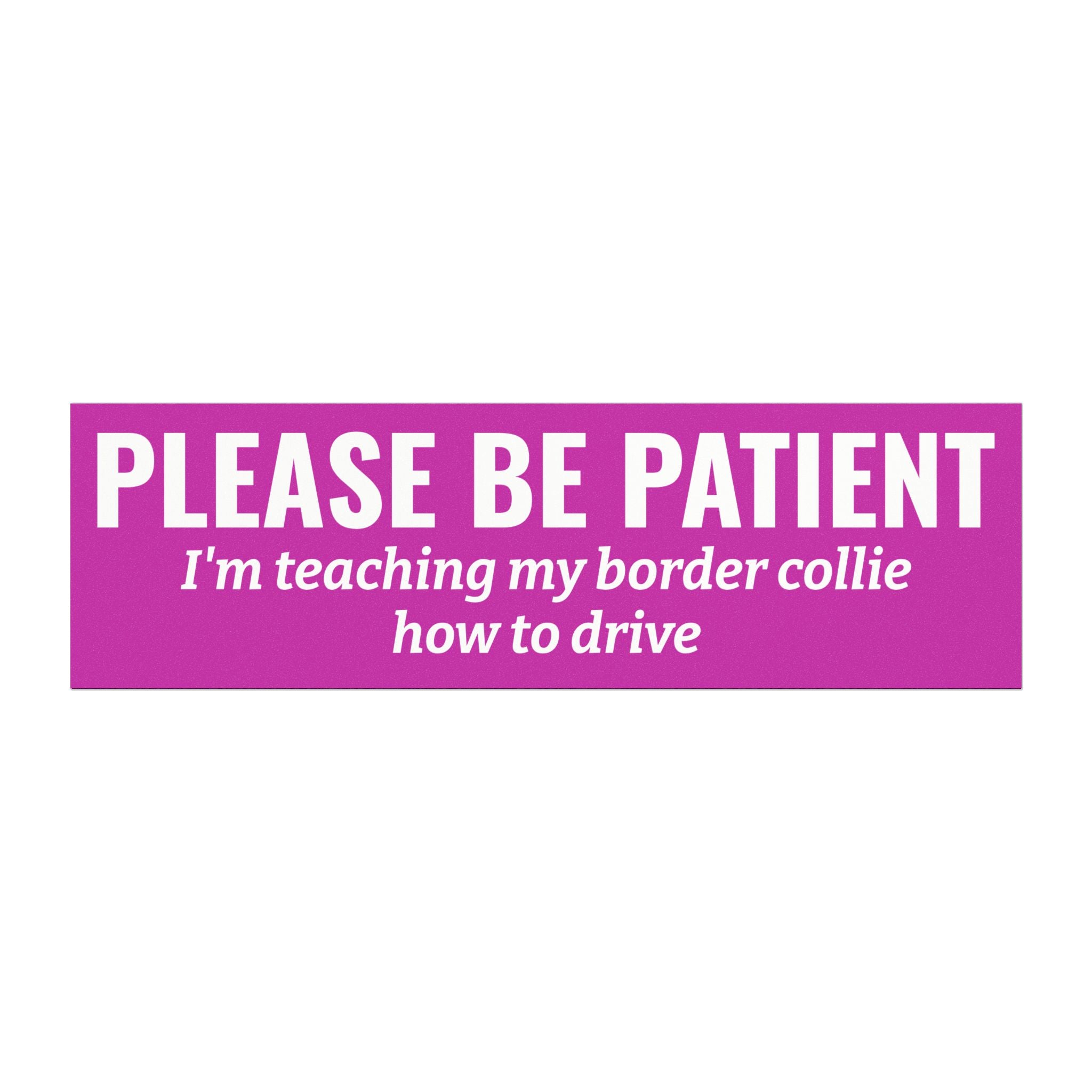 Copy of lease Be Patient, I'm Teaching My Cat How to Drive Bumper Magnet (PINK)