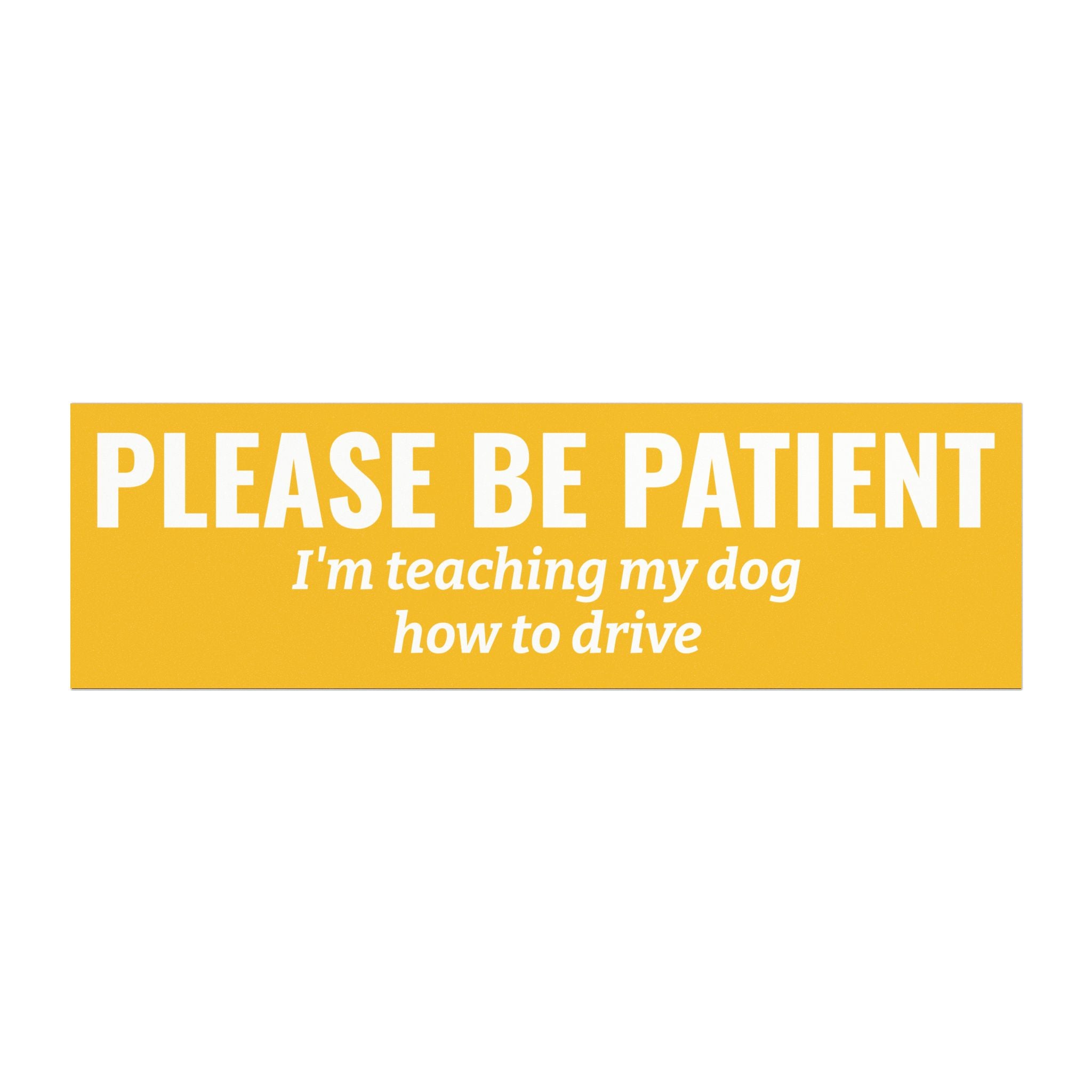 Please Be Patient, I'm Teaching My Dog How to Drive Bumper Magnet (YELLOW)