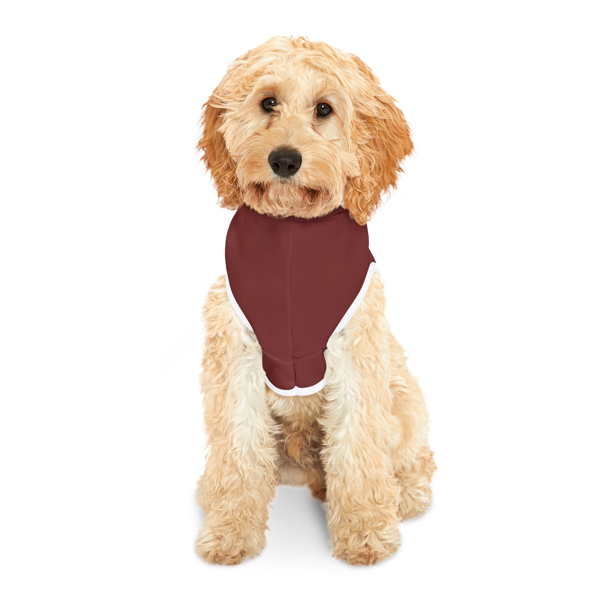 HOA President Dog Hoodie – Funny Pet Sweatshirt for Uptight Neighborhood Watch Dogs