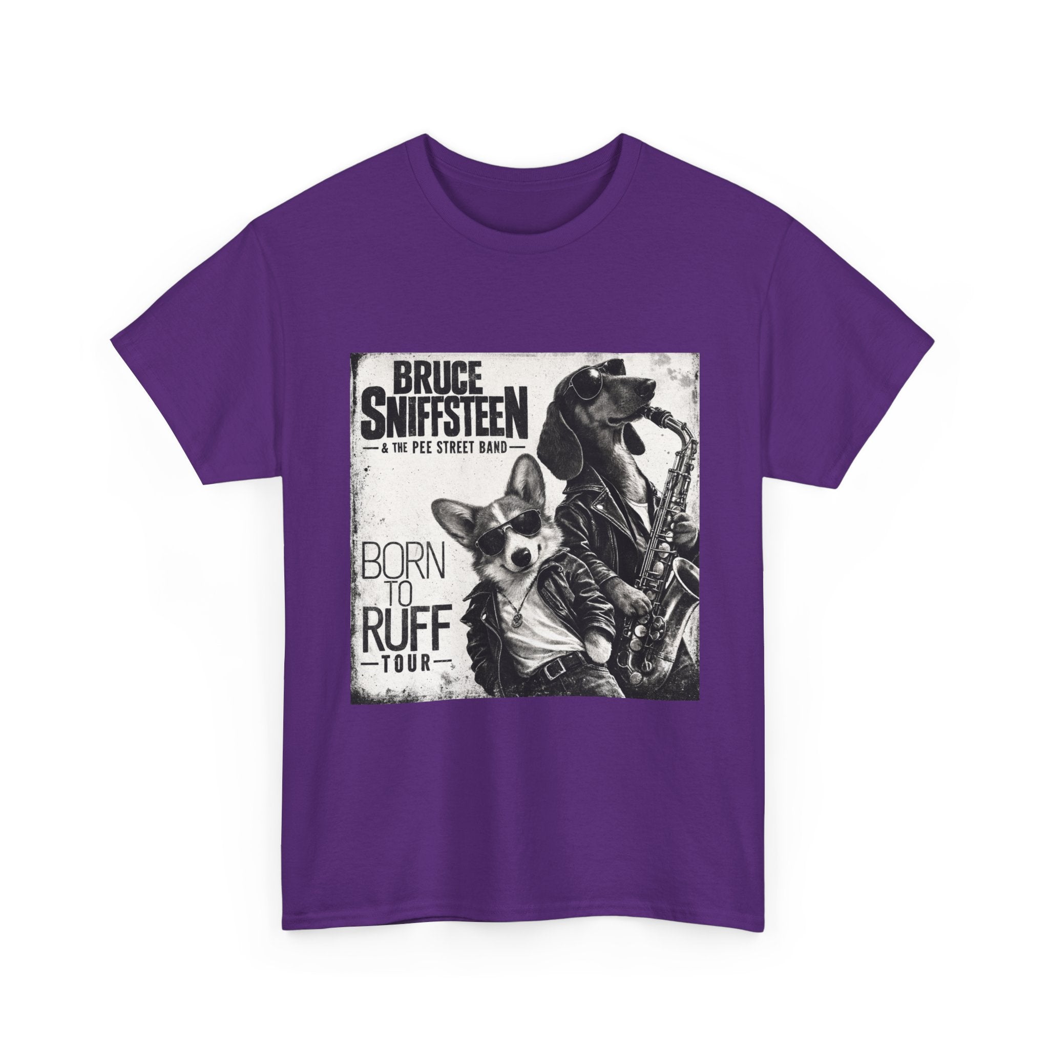 Bruce Sniffsteen & the Pee Street Band Shirt -- Funny Bruce Springsteen 2026 Tour Shirt Parody
