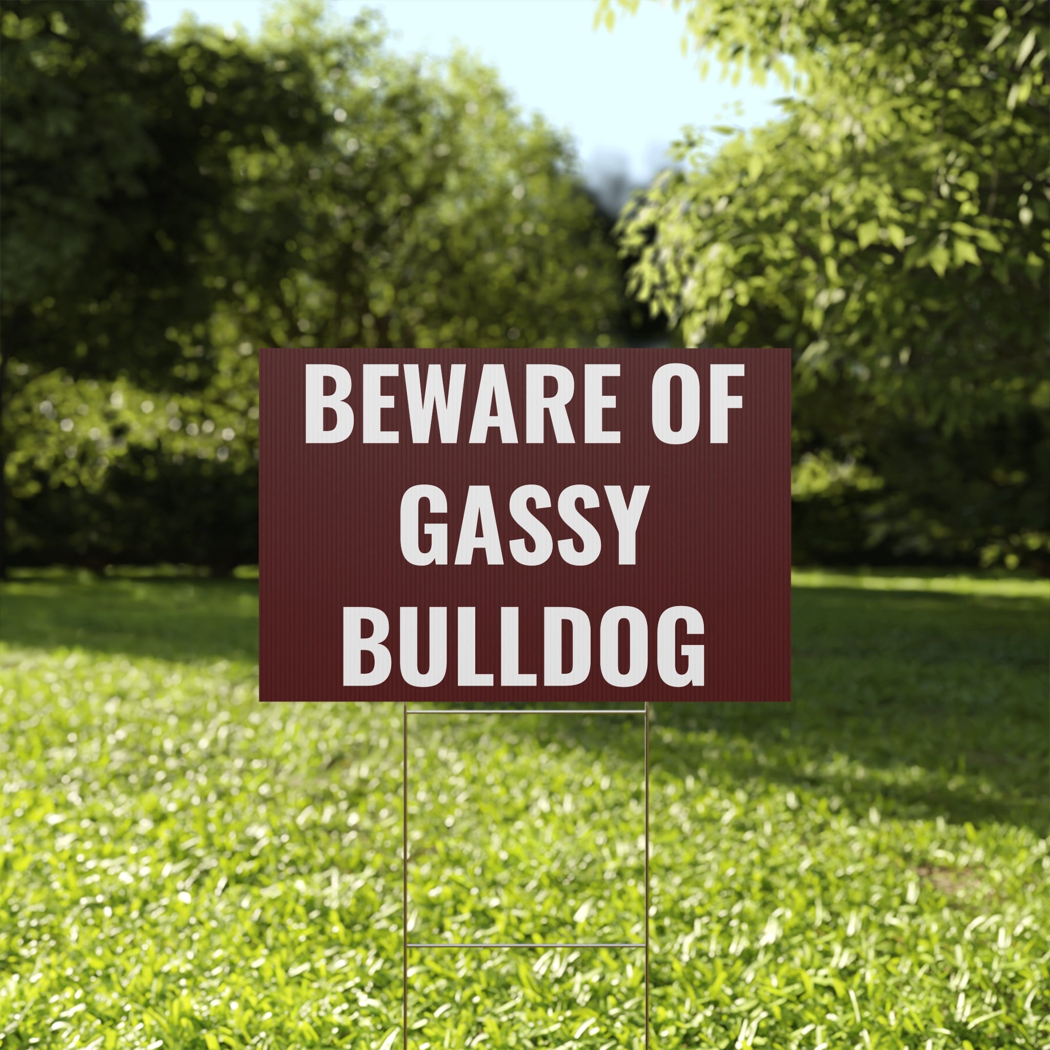 Copy of Copy of Beware of Anxious Chihuahua Yard Sign - Funny Dog Warning Plastic Lawn Sign