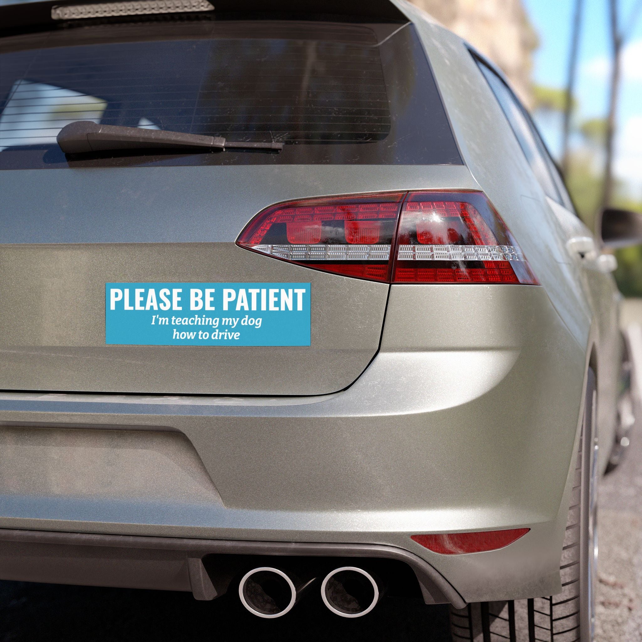Please Be Patient, I'm Teaching My Dog How to Drive Bumper Magnet (SKY BLUE)