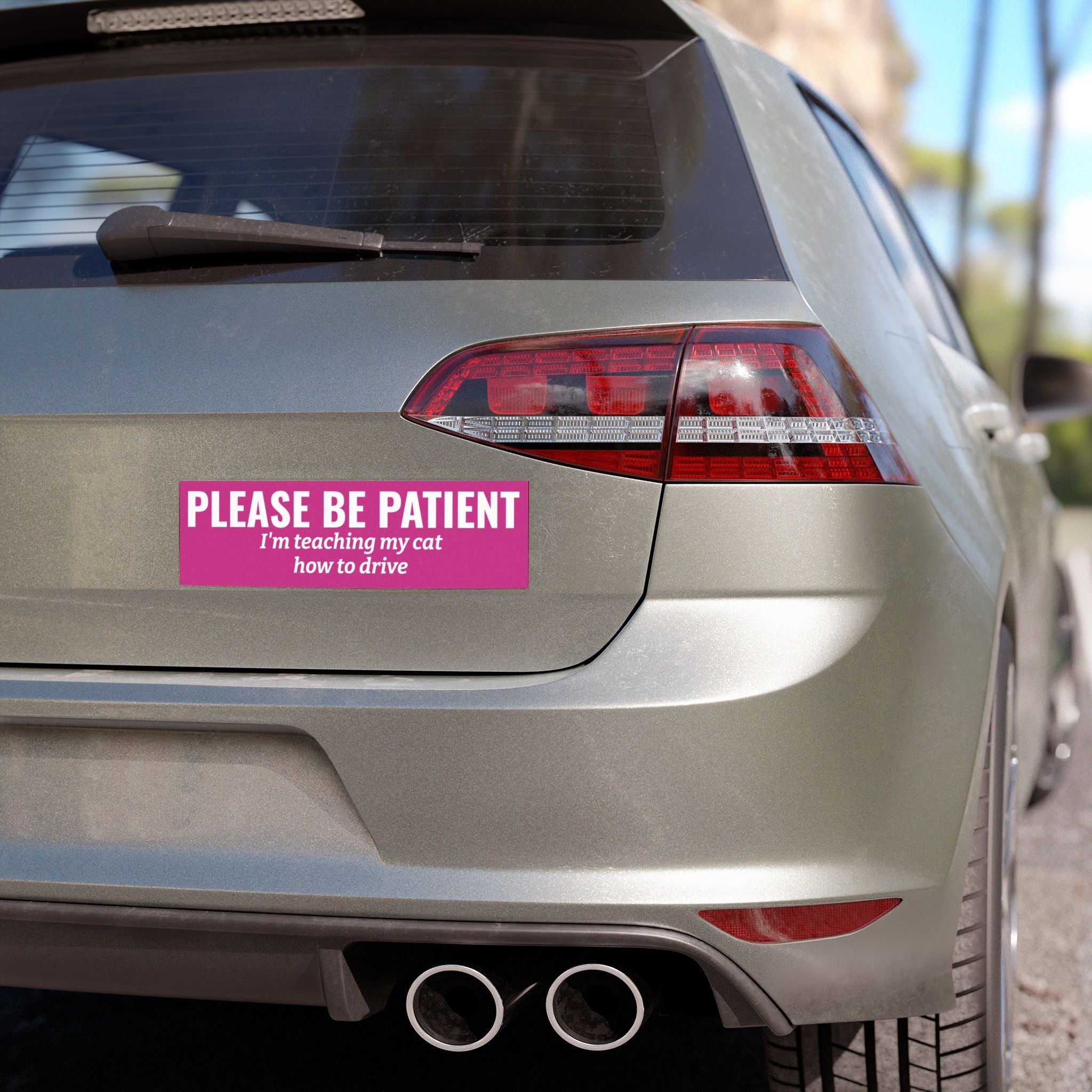 Copy of Please Be Patient, I'm Teaching My Dog How to Drive Bumper Magnet (PINK)
