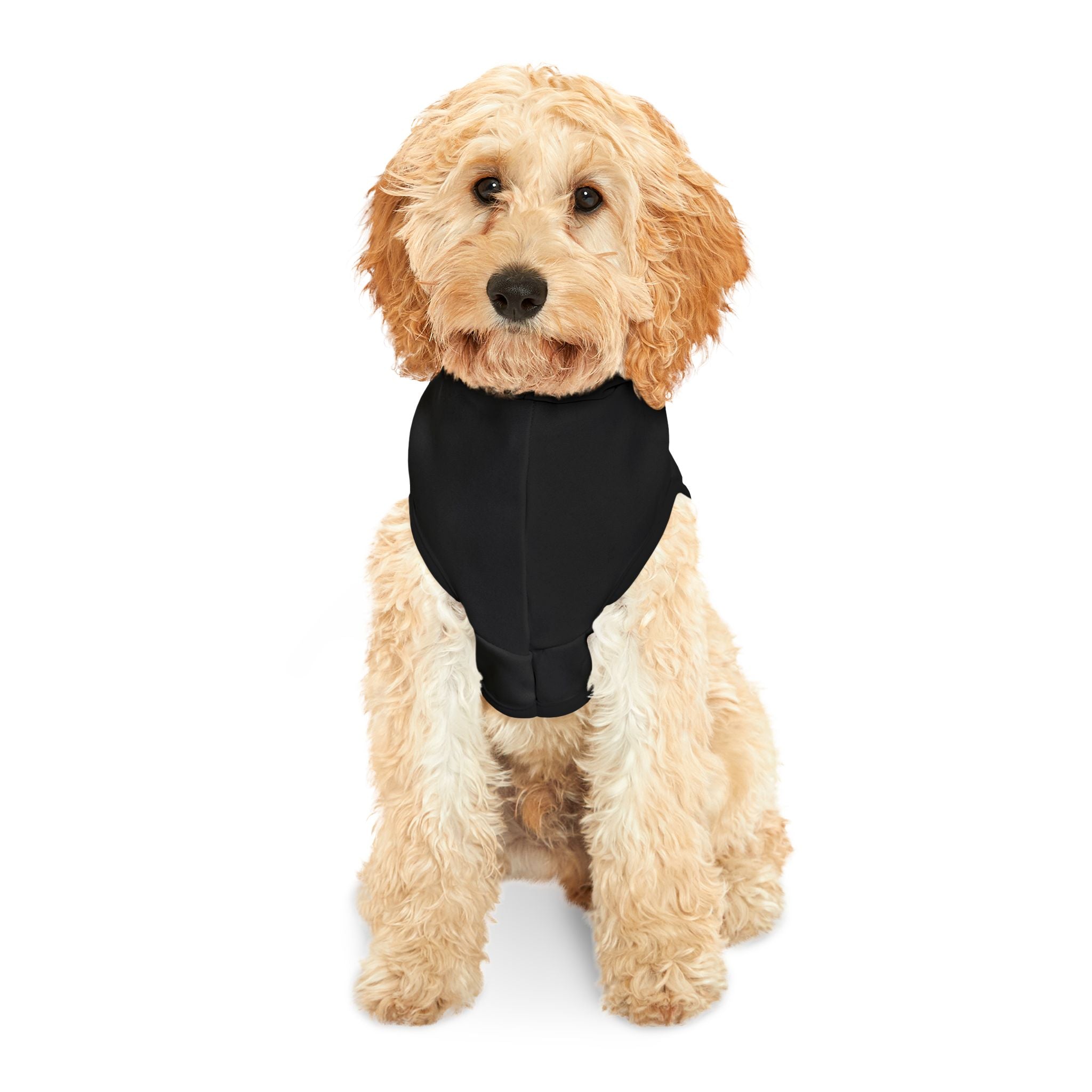 PhD Candidate Dog Hoodie – Funny Academic Pet Sweatshirt for Overachieving Pups