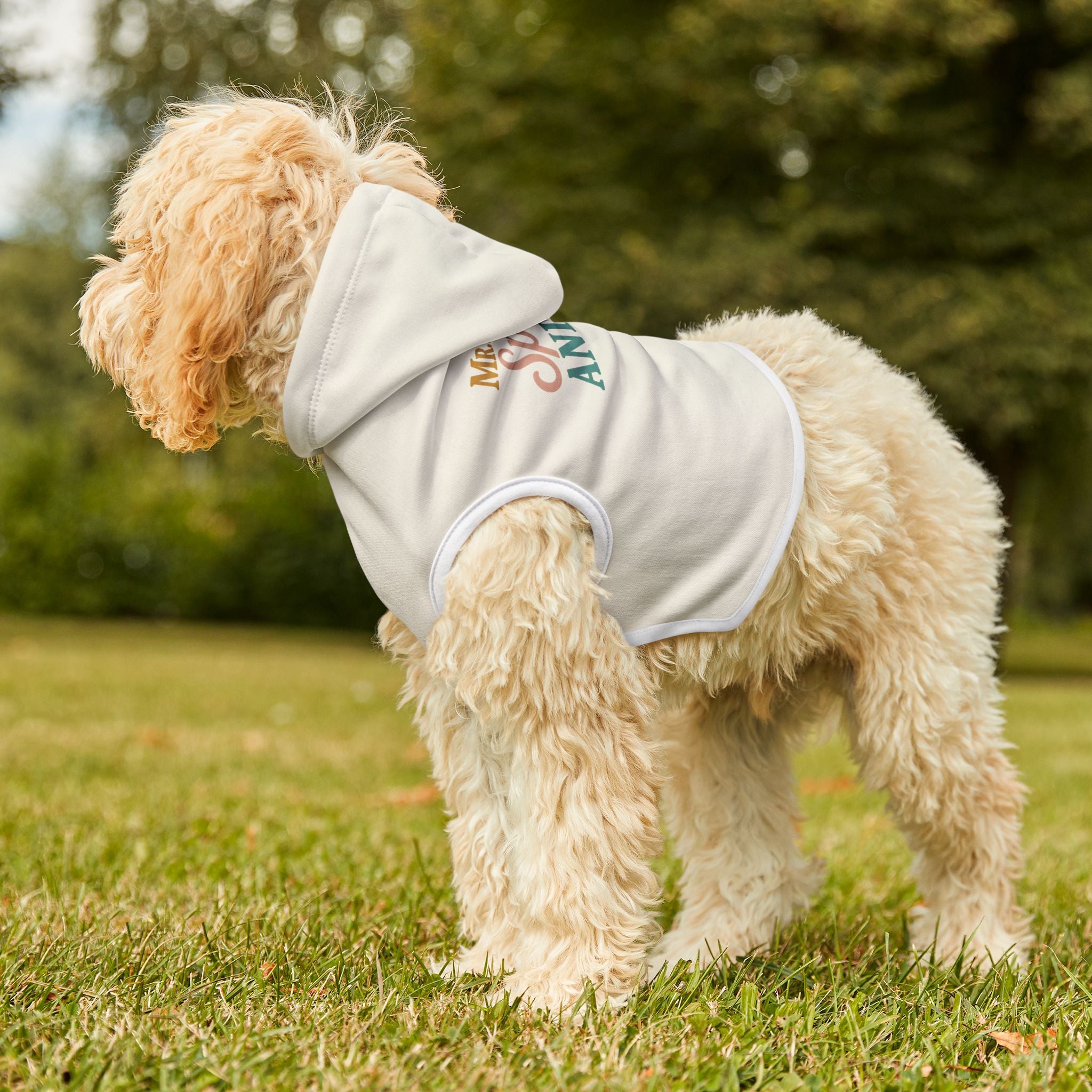 Mr. Darcy’s Spirit Animal Dog Hoodie – Funny Literary Pet Sweatshirt for Dramatic Romantic Pups