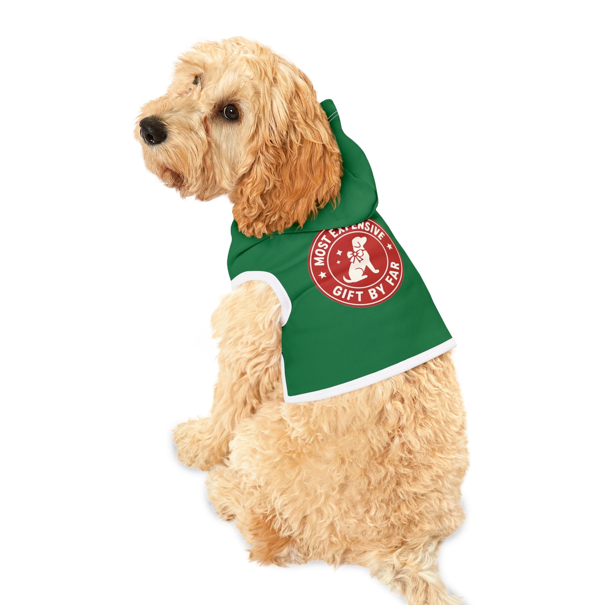 Most Expensive Gift by Far Dog Hoodie -- Funny Christmas Dog Apparel