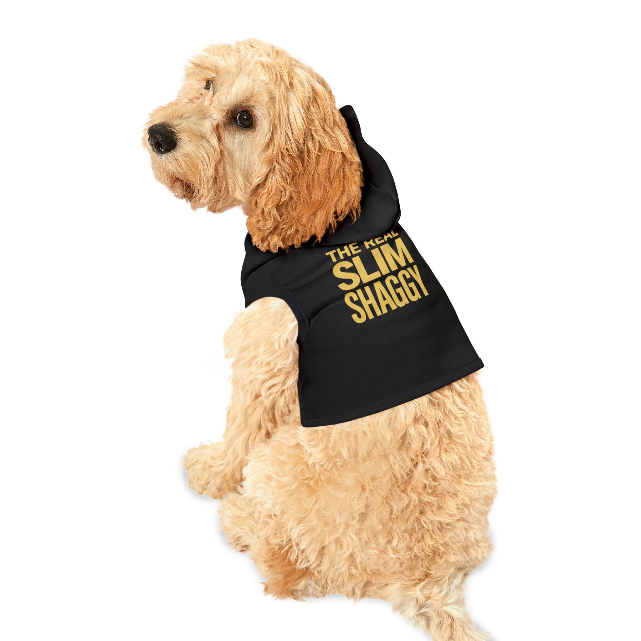 The Real Slim Shaggy Dog Hoodie – Funny Dog Halloween Costume