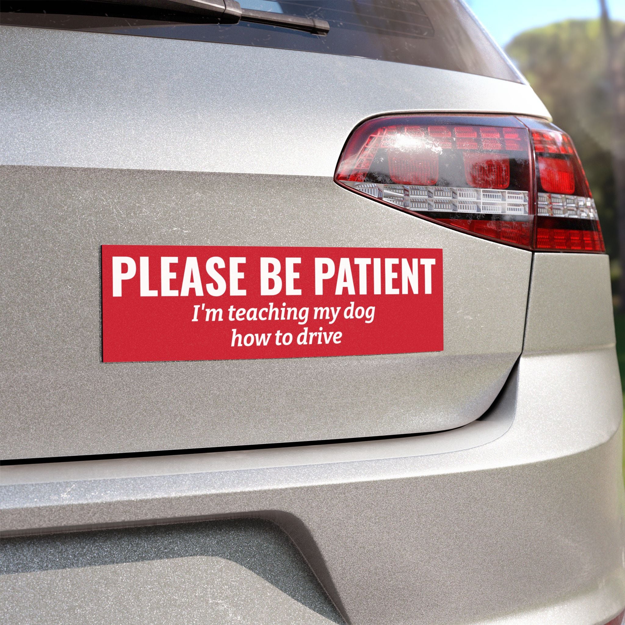 Please Be Patient, I'm Teaching My Dog How to Drive Bumper Magnet (RED)
