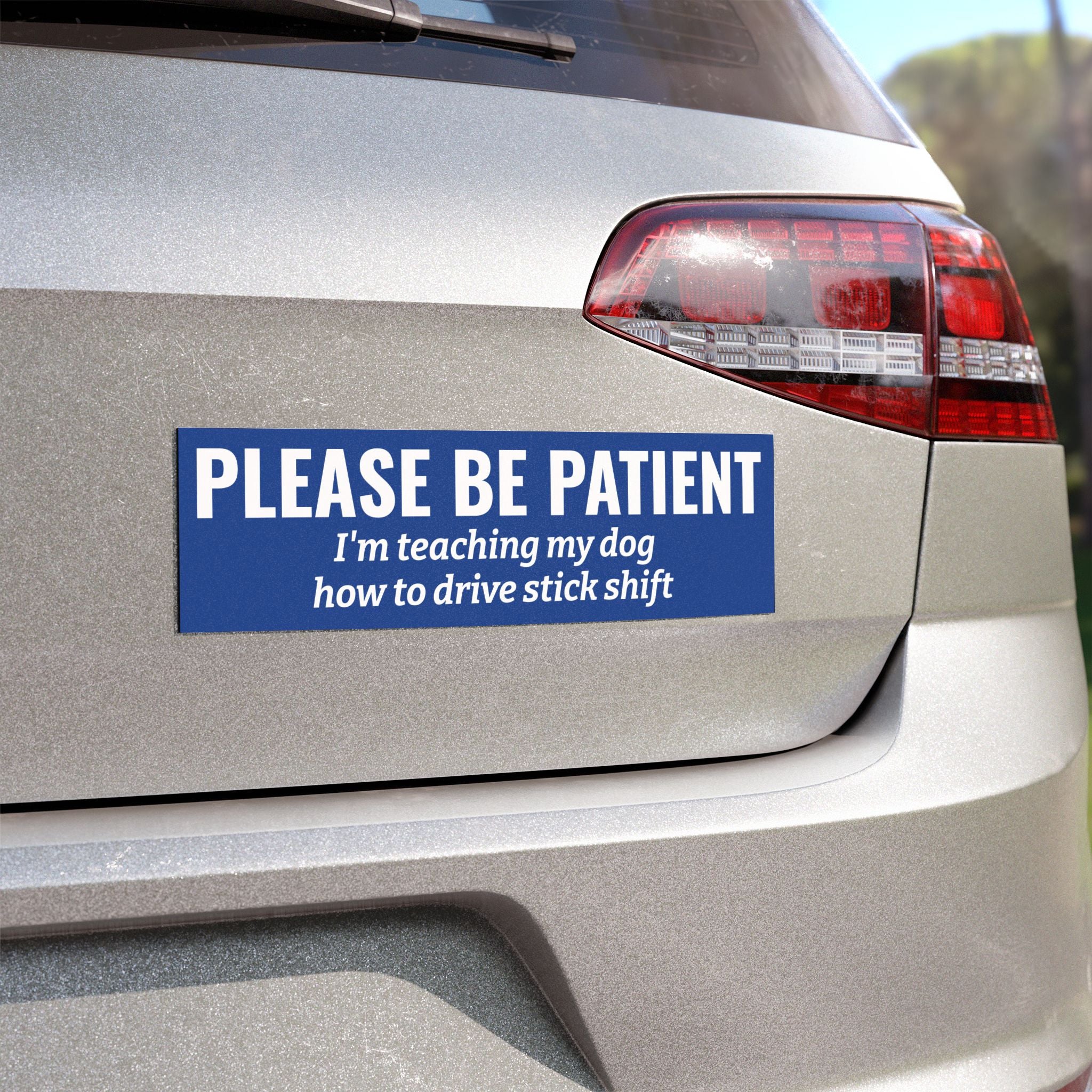 Please Be Patient, I'm Teaching My Dog How to Drive Stick Shift Bumper Magnet