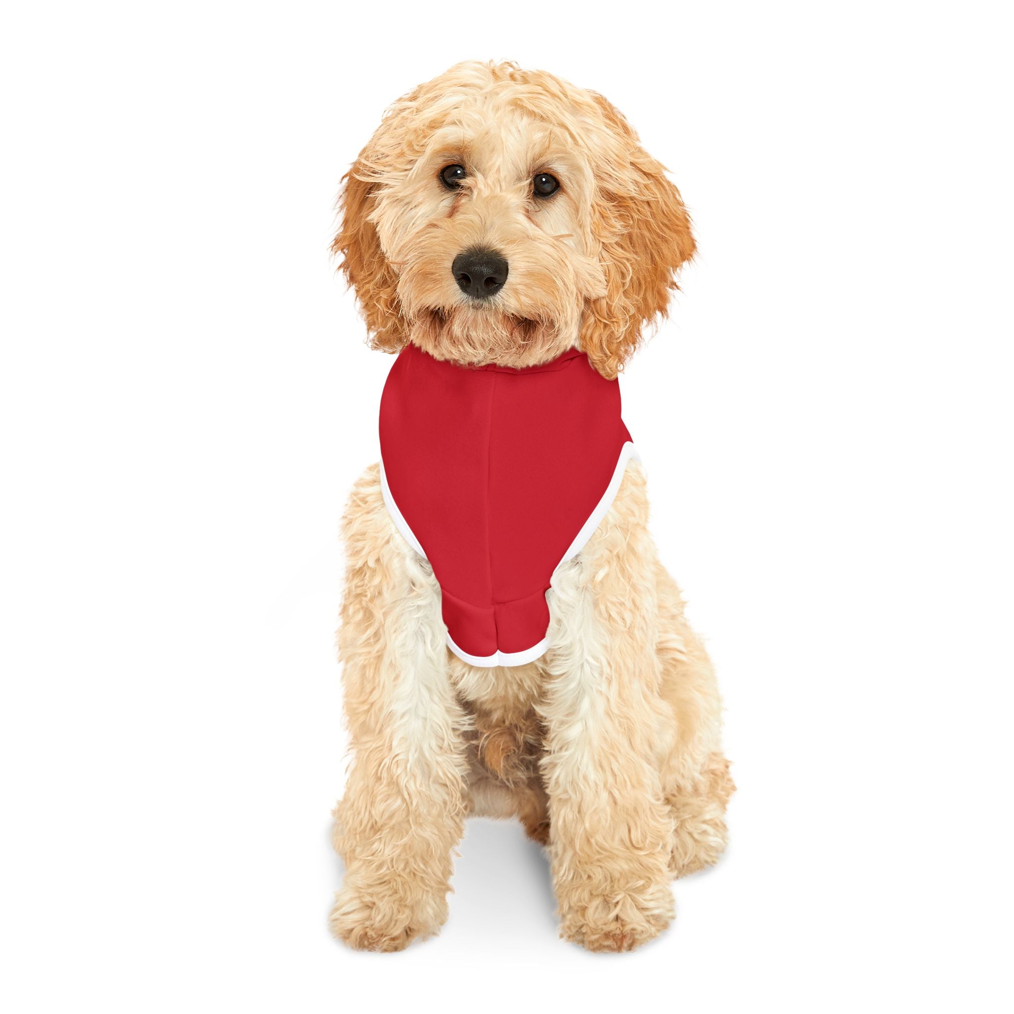 Rudolph's Antagonist Dog Hoodie -- Funny Dog Christmas Apparel