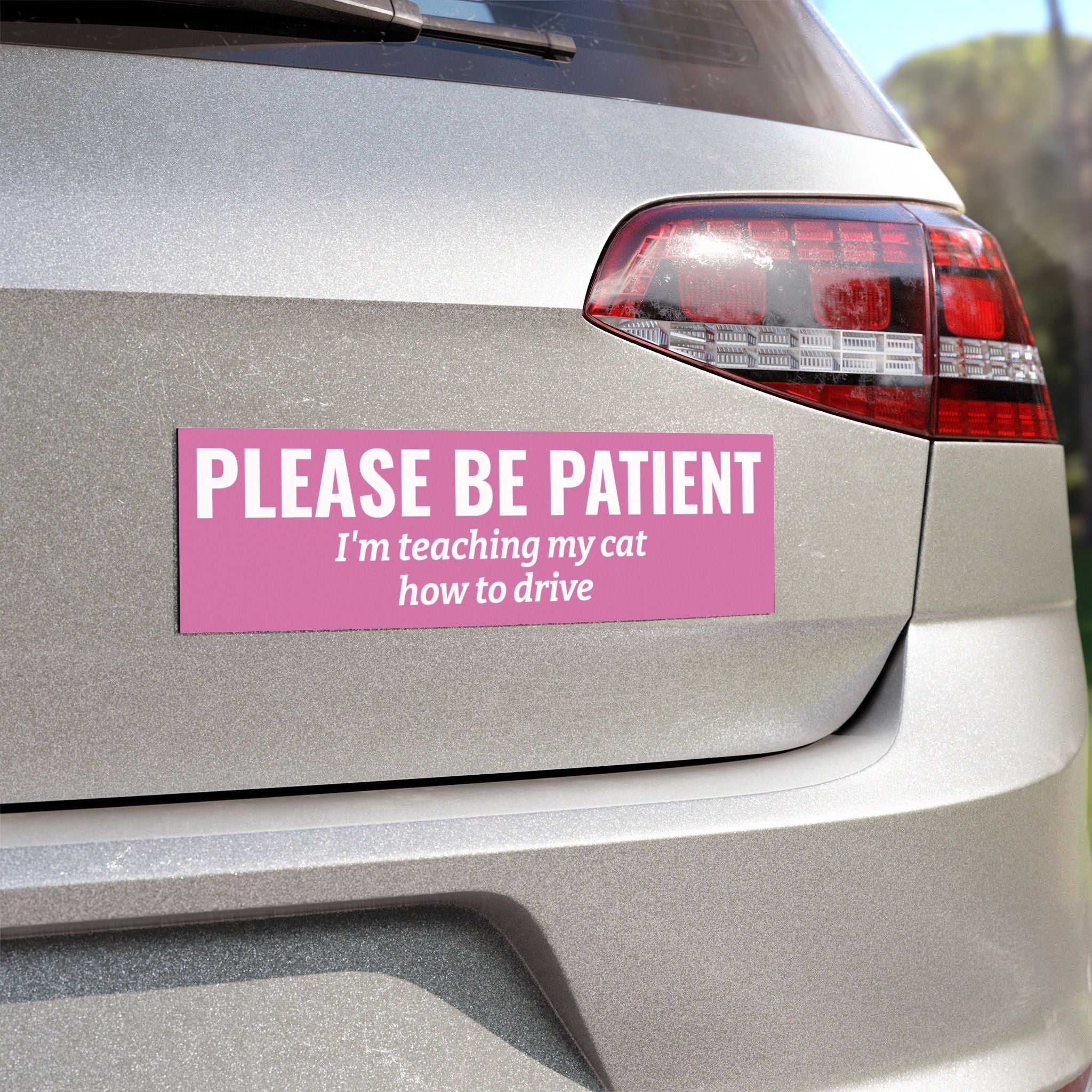 Please Be Patient, I'm Teaching My Cat How to Drive Bumper Magnet (LIGHT PINK)