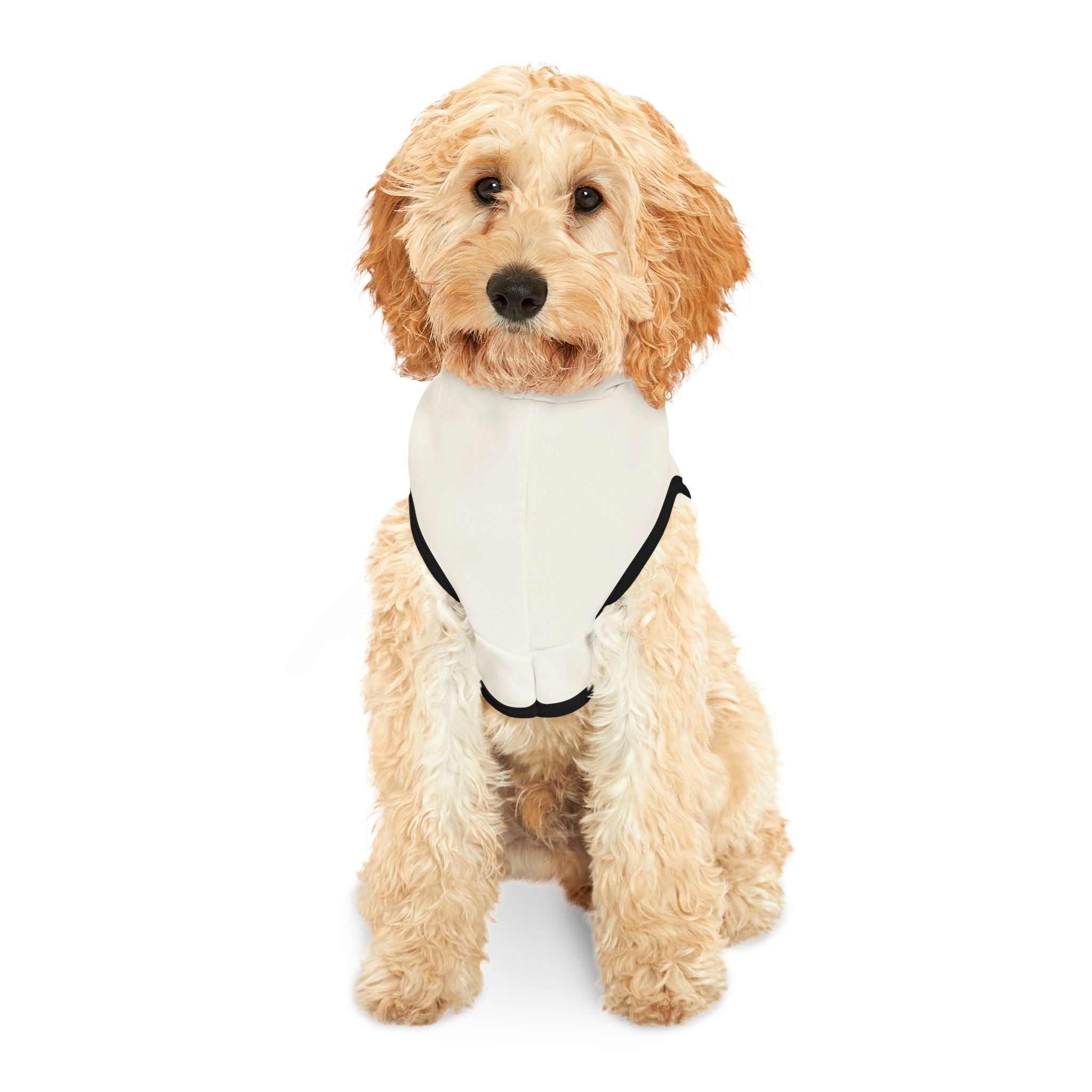 Mr. Darcy’s Spirit Animal Dog Hoodie – Funny Literary Pet Sweatshirt for Dramatic Romantic Pups