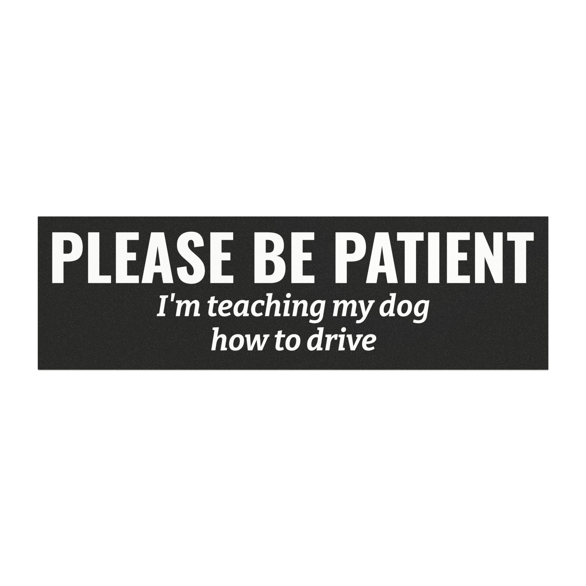 Please Be Patient, I'm Teaching My Cat How to Drive Bumper Magnet (BLACK)