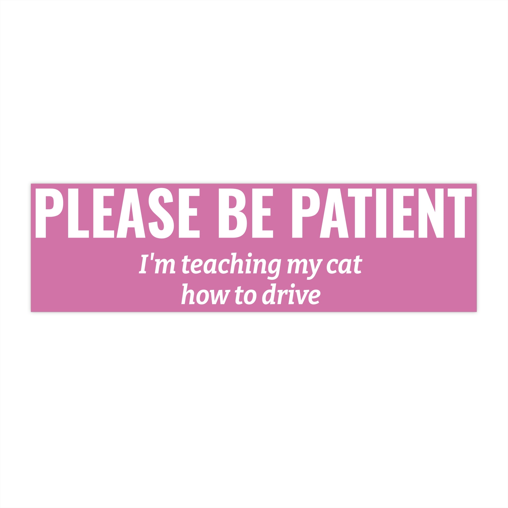 Please Be Patient Bumper Sticker — "I'm Teaching My Cat How to Drive" Humorous Car Decal (Light Pink)