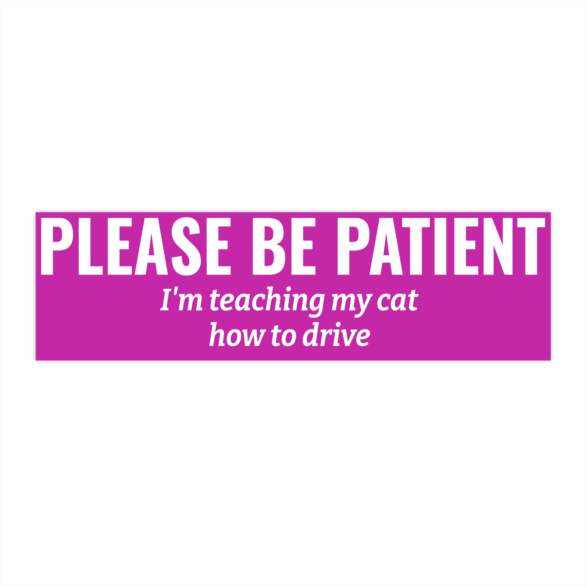 Copy of Please Be Patient Bumper Sticker — "I'm Teaching My Cat How to Drive" Humorous Car Decal (Light Pink)