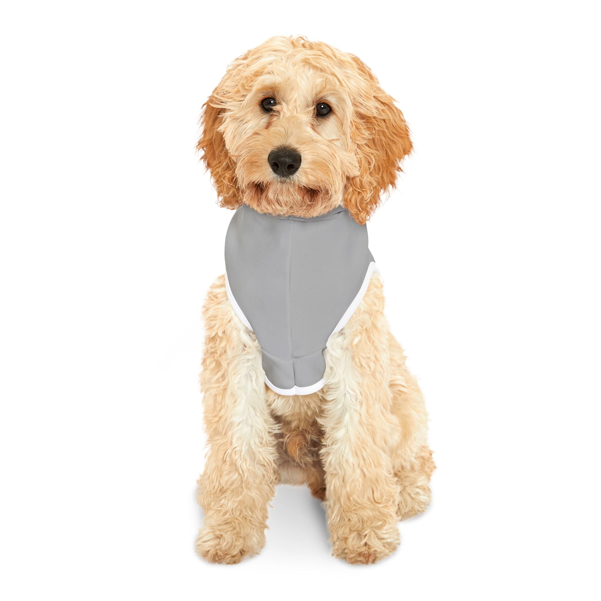 Fiscally Conservative, Socially Liberal Dog Hoodie – Funny Political Pet Sweatshirt for Opinionated Pups