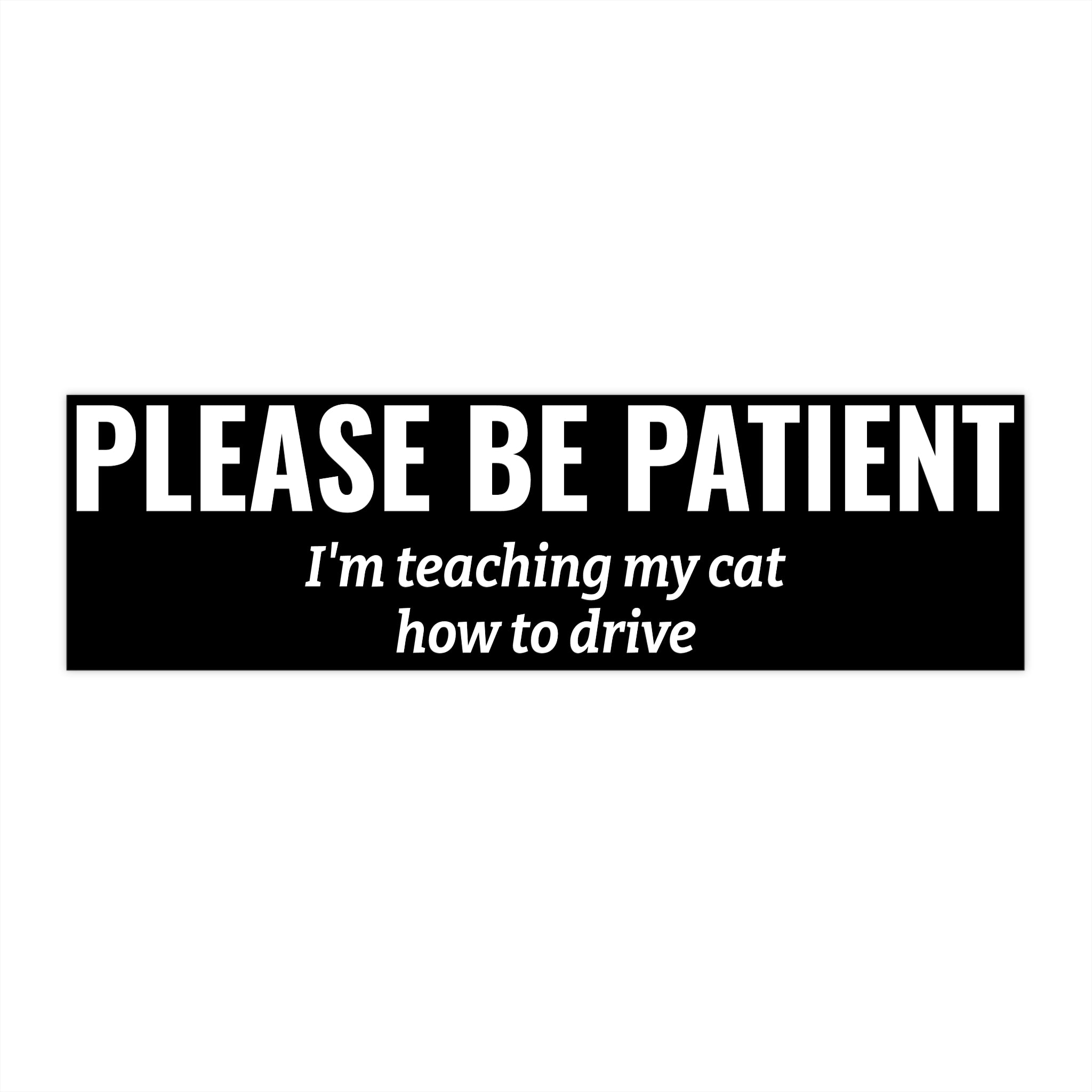 Copy of Copy of Please Be Patient Bumper Sticker — "I'm Teaching My Cat How to Drive" Humorous Car Decal (BLACK)