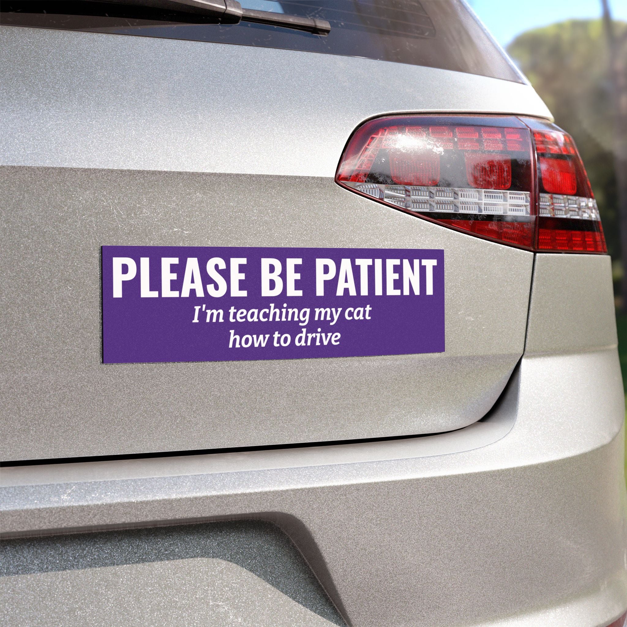 Please Be Patient, I'm Teaching My Cat How to Drive Bumper Magnet (PURPLE)