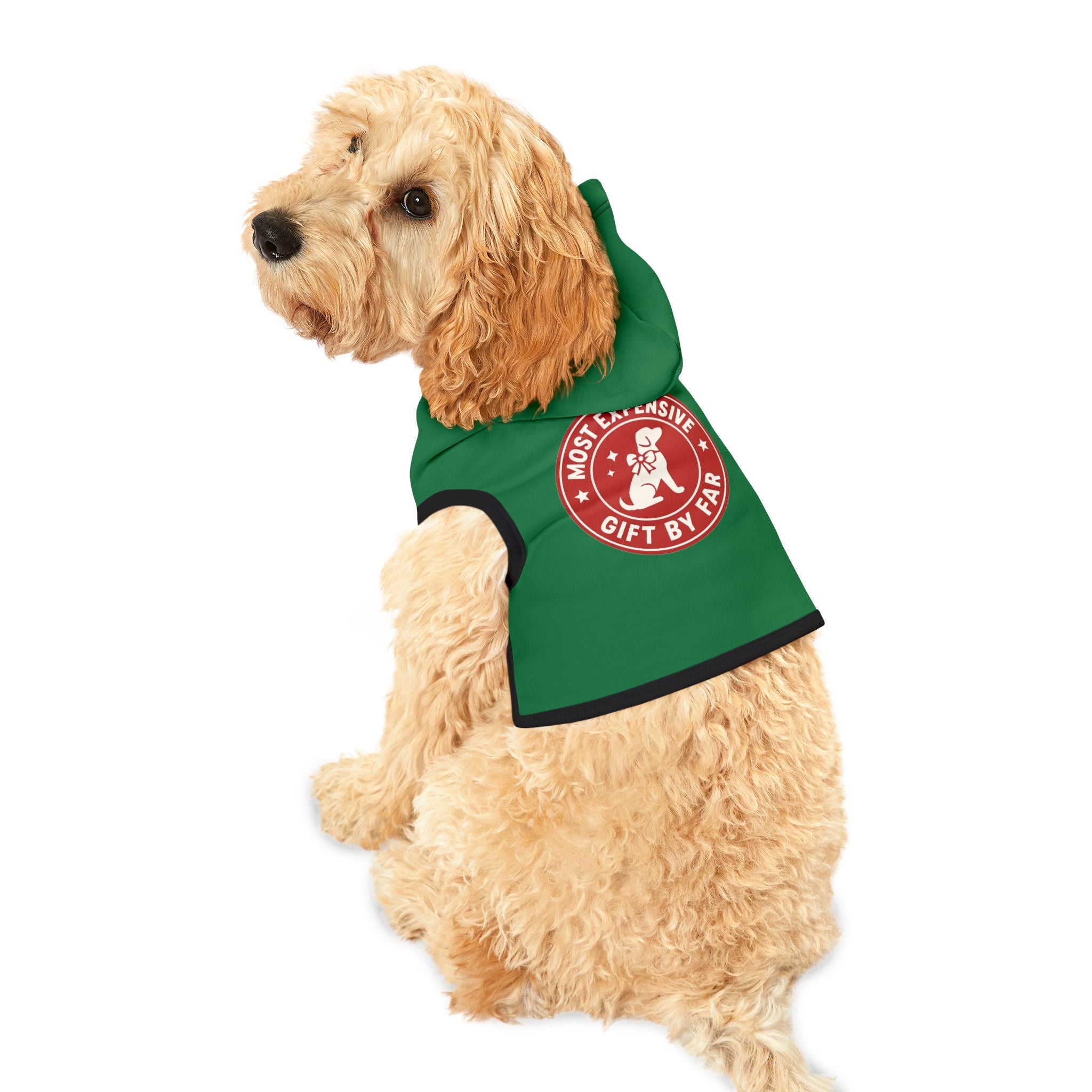 Most Expensive Gift by Far Dog Hoodie -- Funny Christmas Dog Apparel