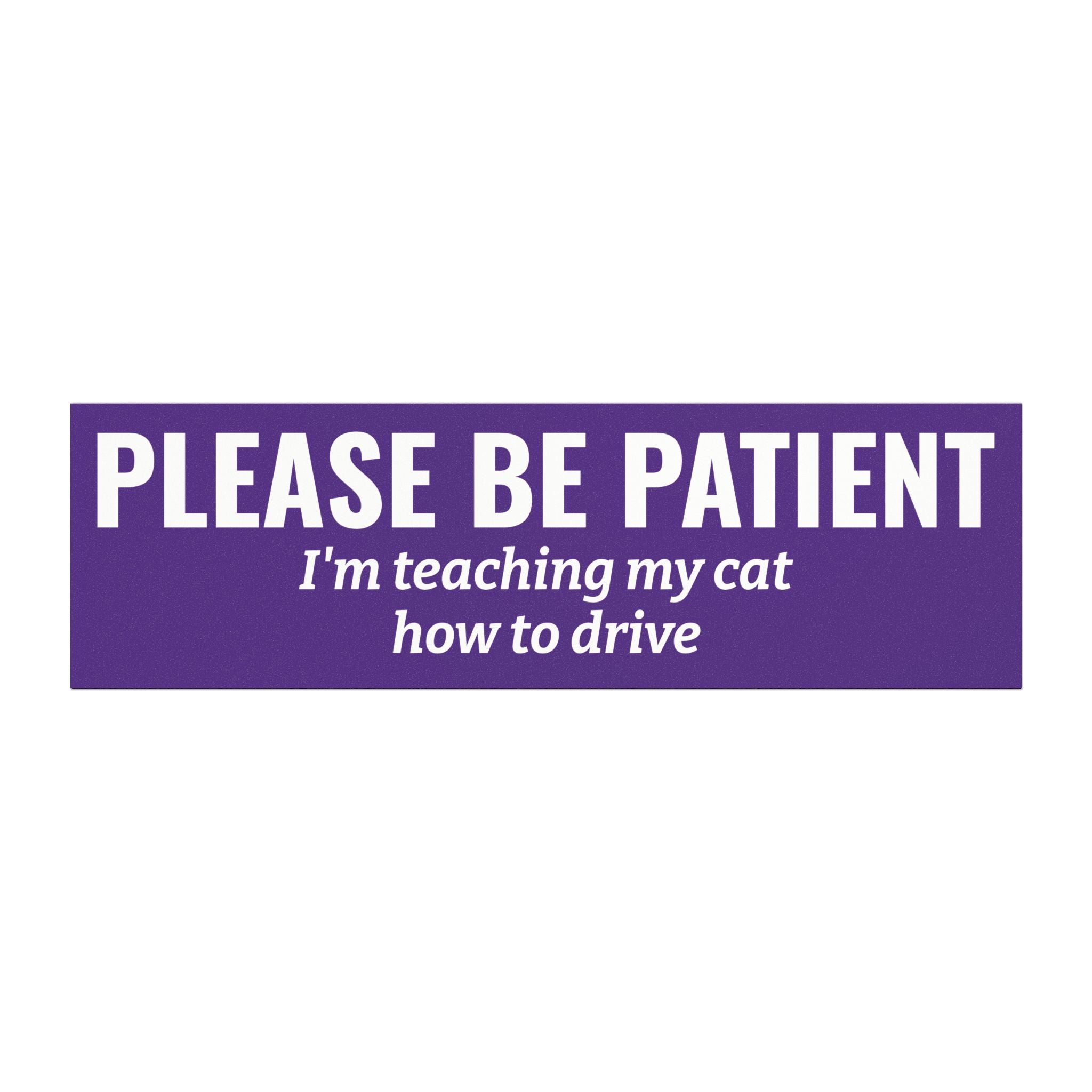 Please Be Patient, I'm Teaching My Cat How to Drive Bumper Magnet (PURPLE)