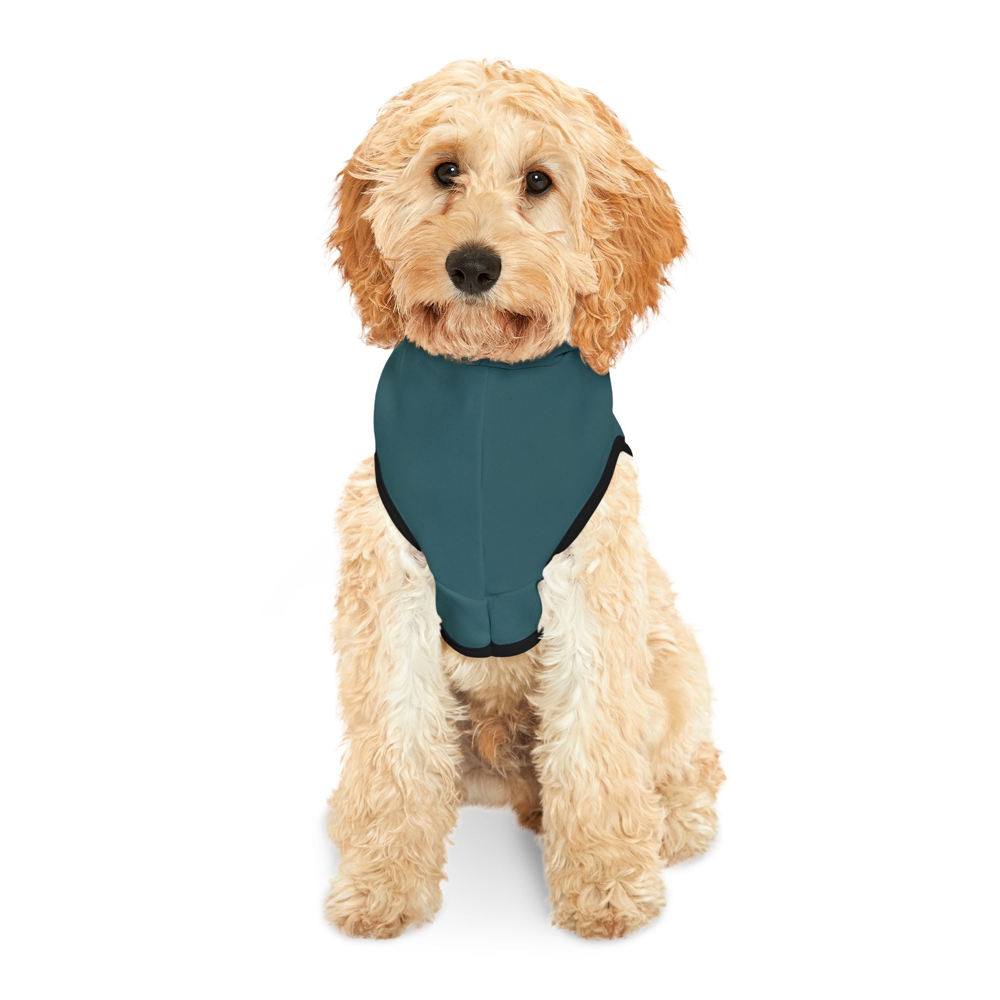 FAANG Reject Dog Hoodie – Funny Tech-Inspired Pet Sweatshirt for Washed-Up Work-from-Home Dogs