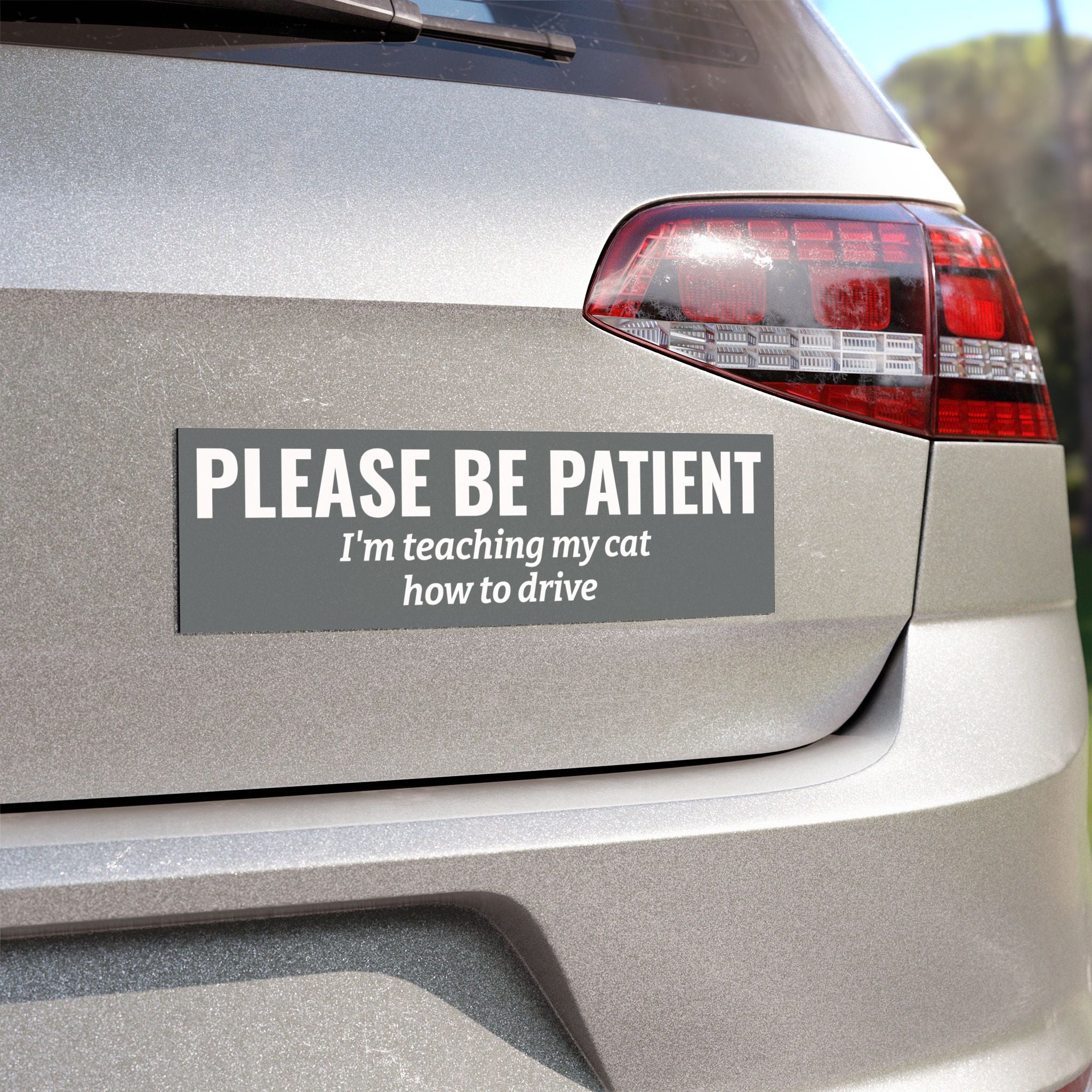 Please Be Patient, I'm Teaching My Dog How to Drive Bumper Magnet (GREY)