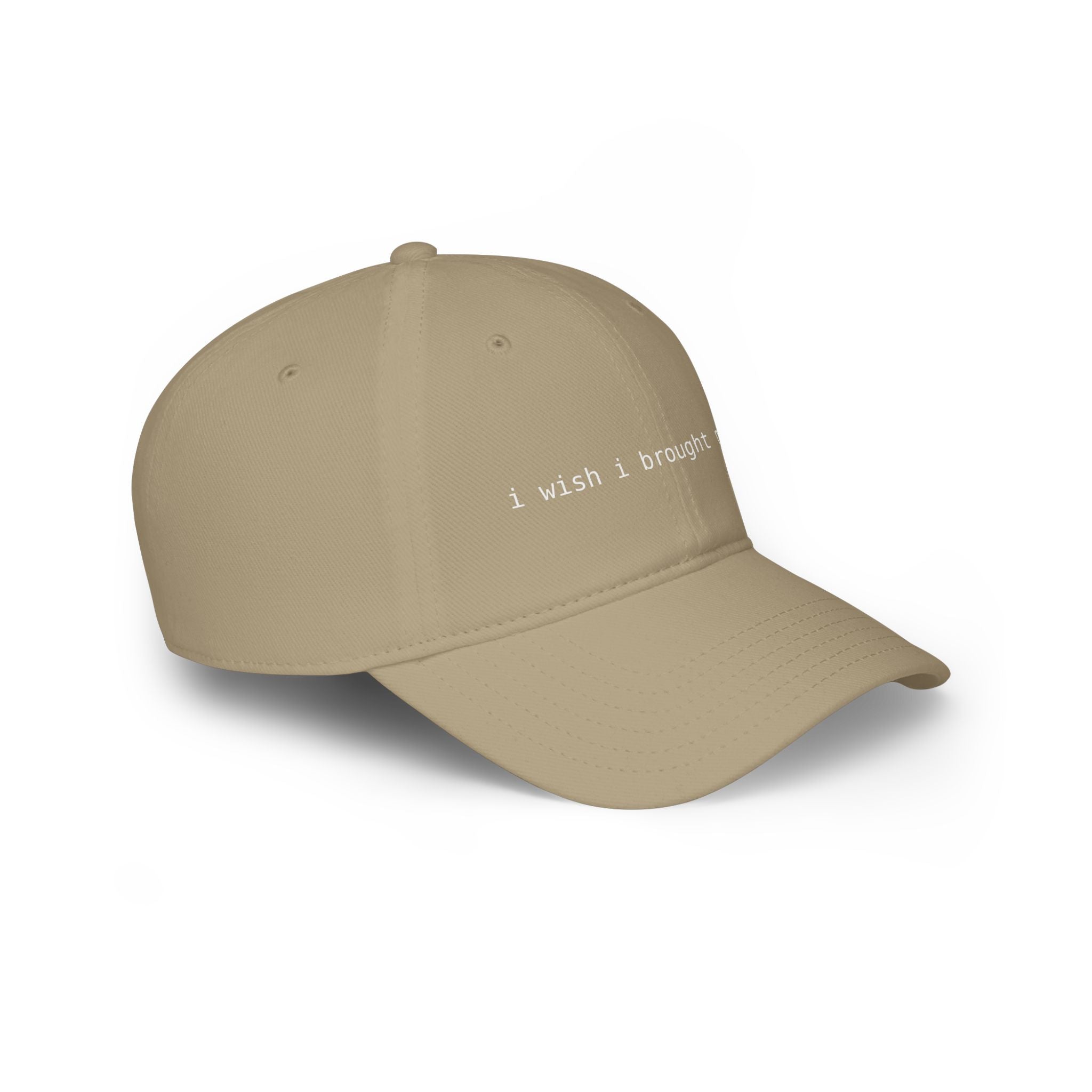 I Wish I Brought My Dog Low Profile Baseball Cap