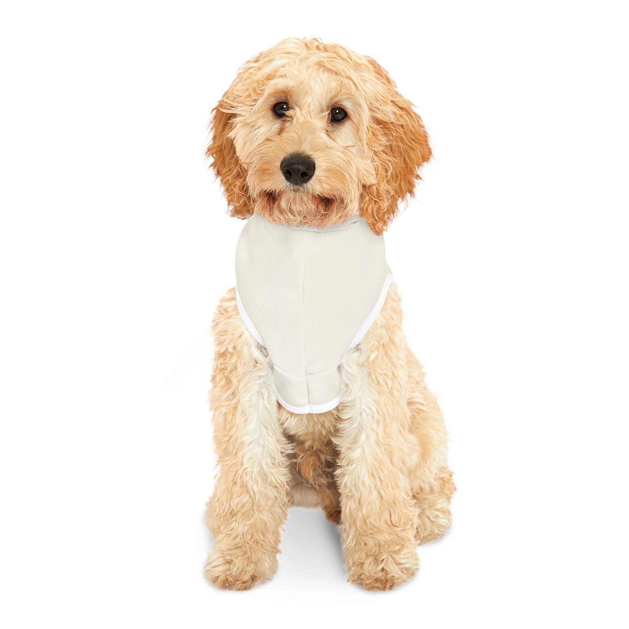 Mr. Darcy’s Spirit Animal Dog Hoodie – Funny Literary Pet Sweatshirt for Dramatic Romantic Pups