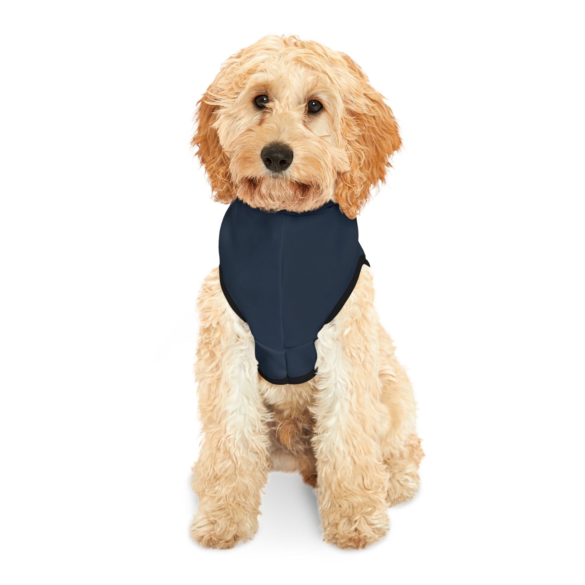 Ambivalent to Dakota Johnson Dog Hoodie – Funny Pet Sweatshirt for Dogs with Uncertain Celebrity Views