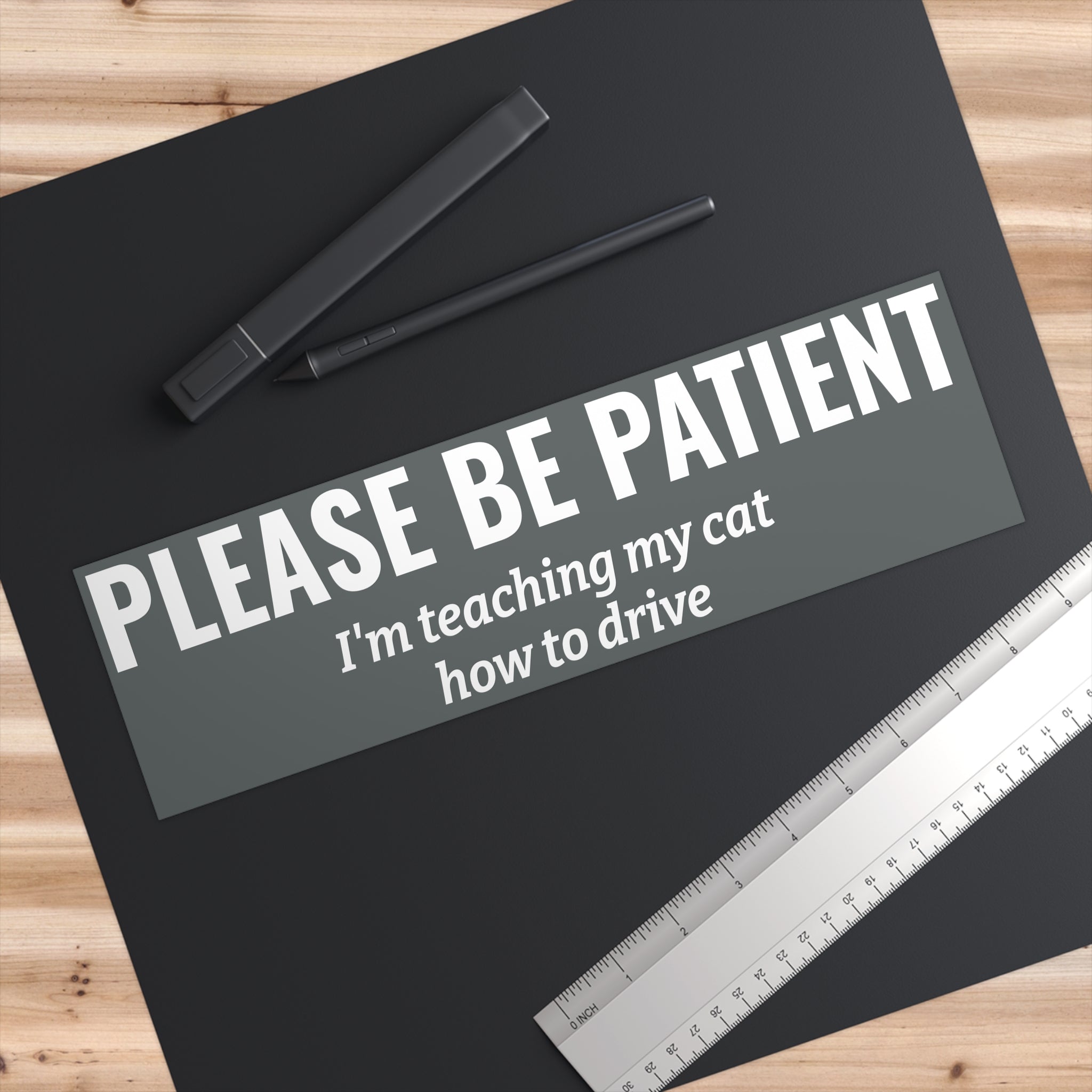 Please Be Patient Bumper Sticker — "I'm Teaching My Cat How to Drive" Humorous Car Decal (Light Pink)
