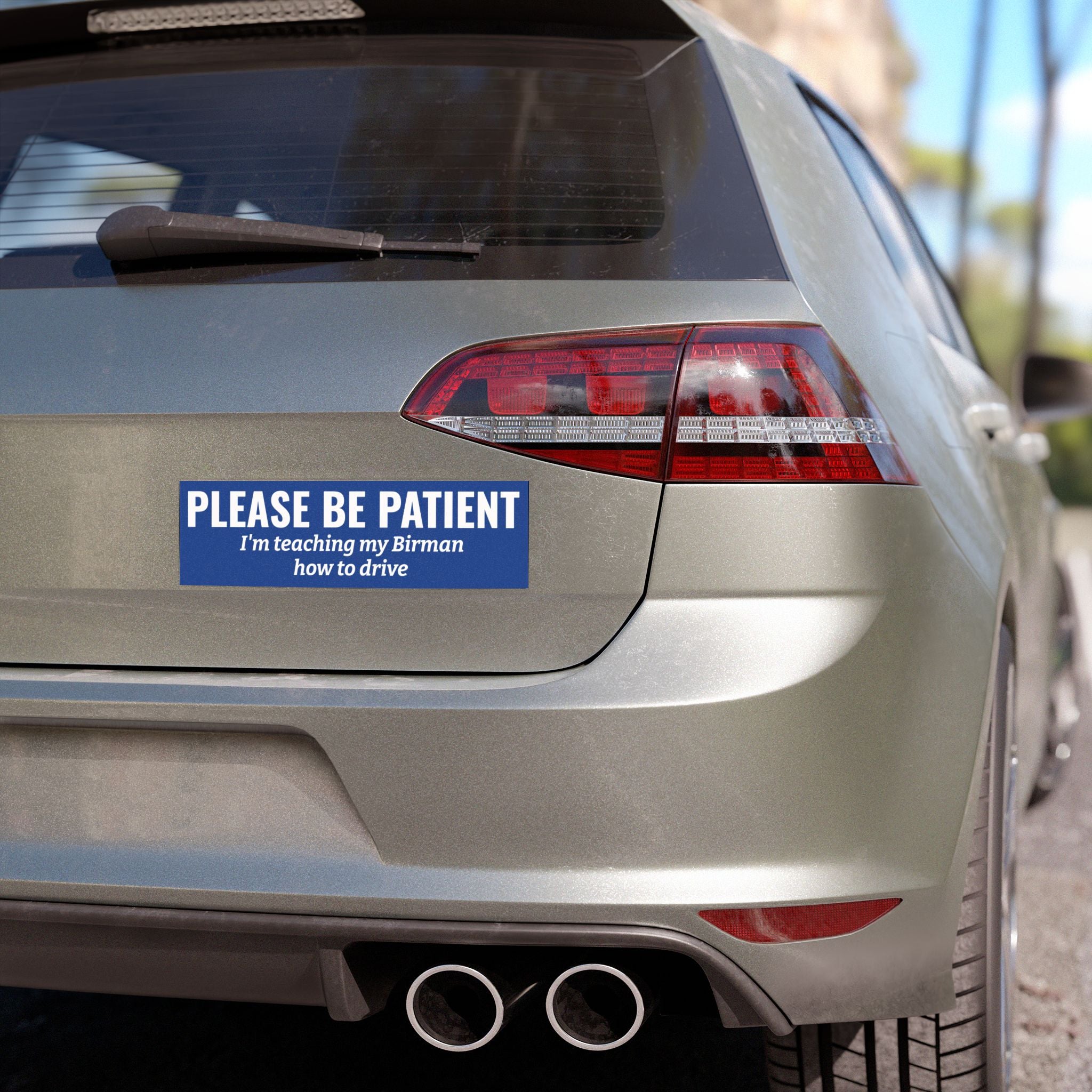 Copy of Please Be Patient, I'm Teaching My Dog How to Drive Bumper Magnet