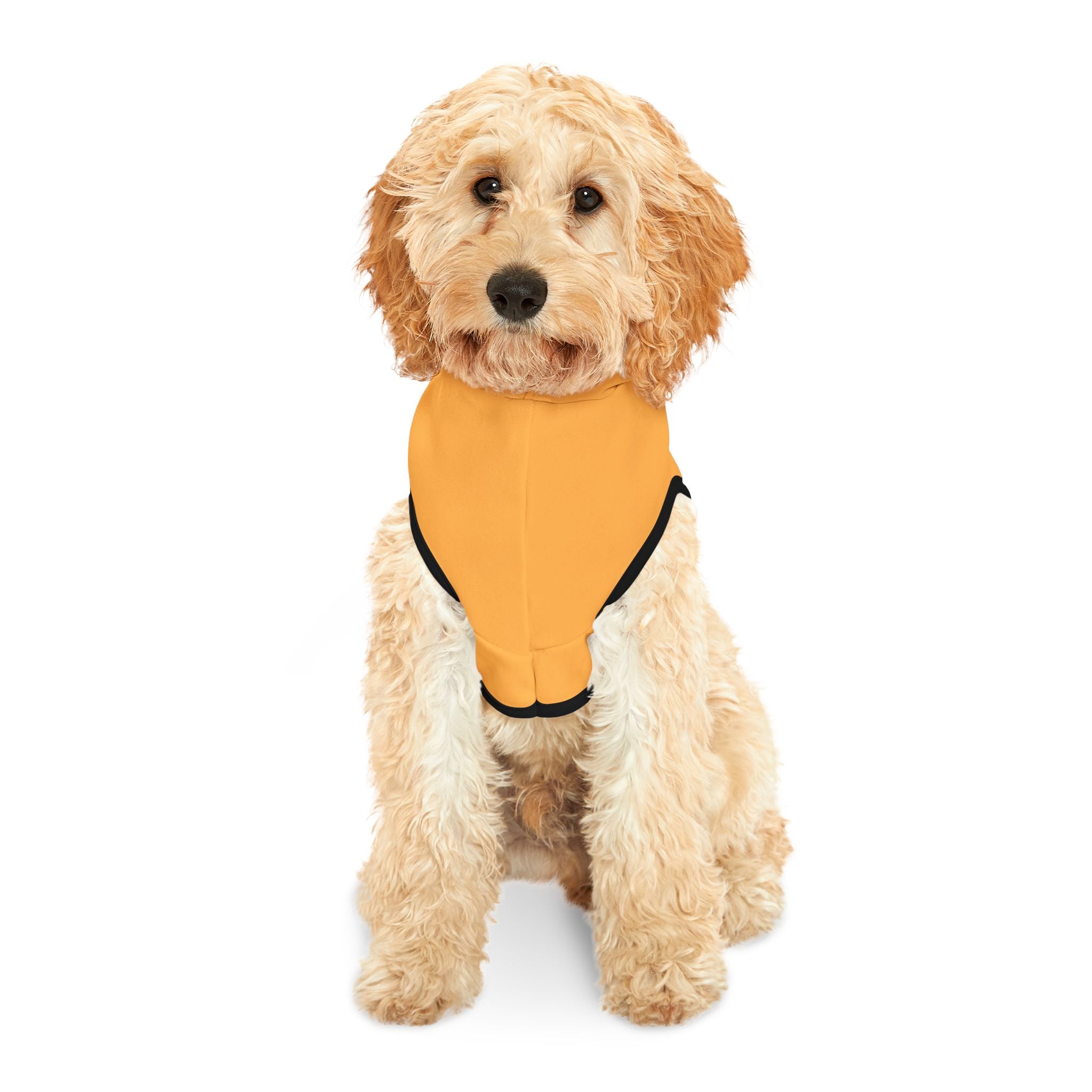 April Muttgate Dog Hoodie – Funny Dog Halloween Costume