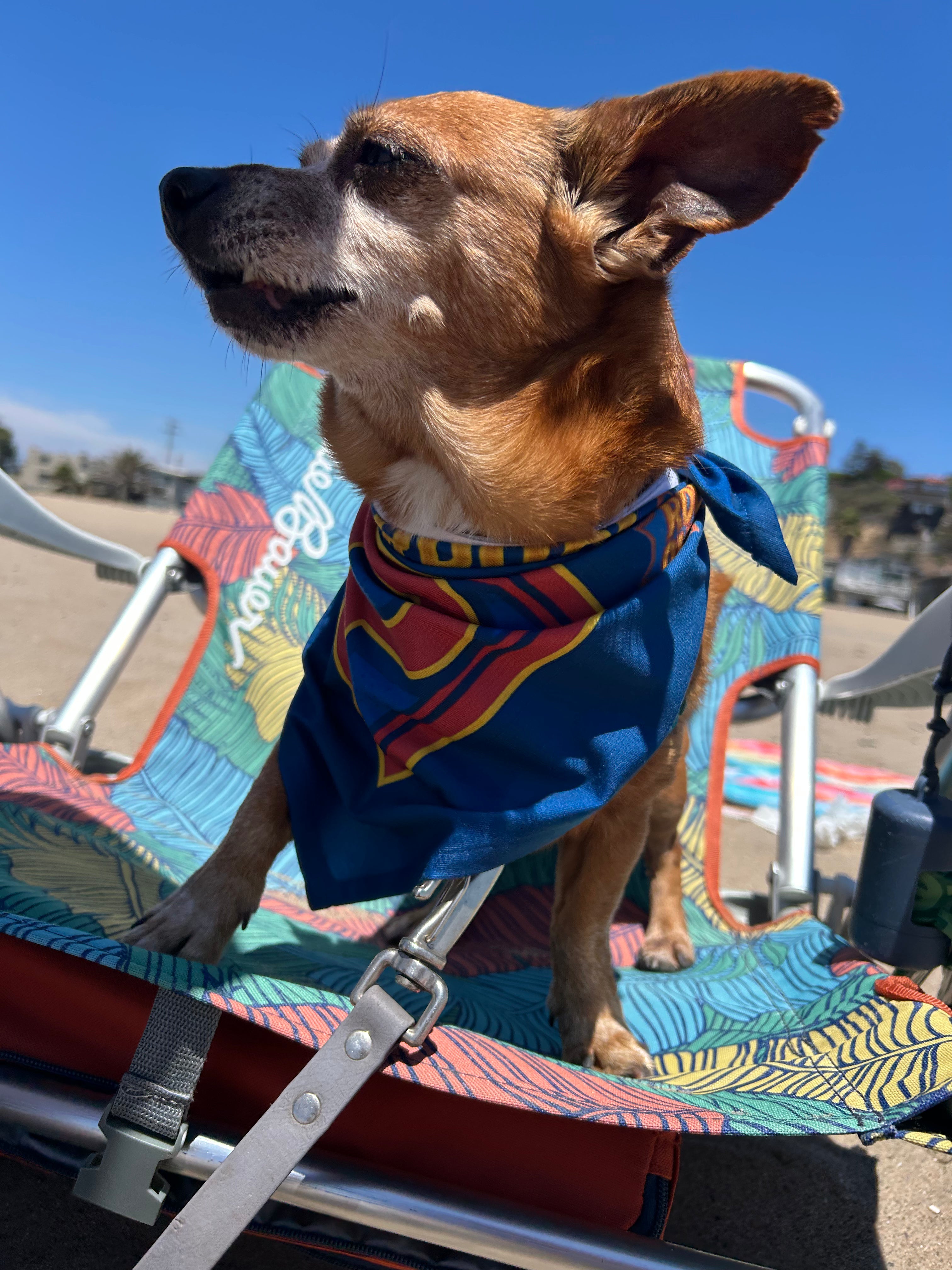 Woofstock