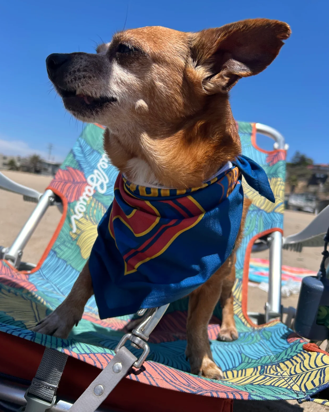 Superpup Dog Bandana – Funny Comic Book Cape-Style Pet Scarf for Superhero Dogs