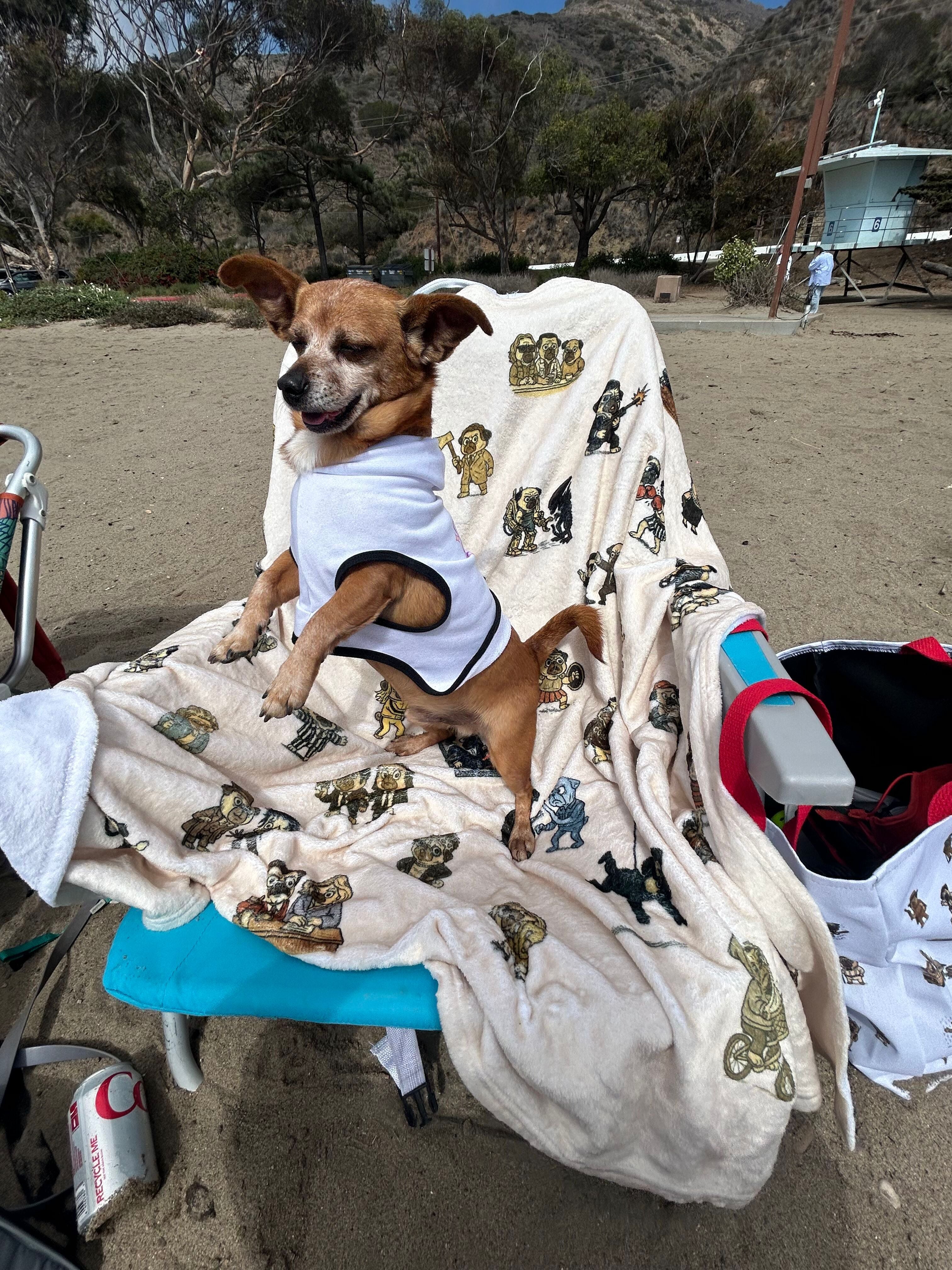 Movie Pugs Blanket – Hilarious Blanket for Dog Lovers and Cinema Fans